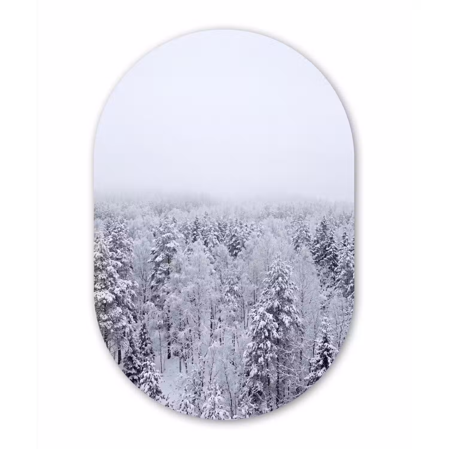 Bos - Sneeuw - Winter - Natuur - Wit Wandcirkel Ovaal Forex klein -3d