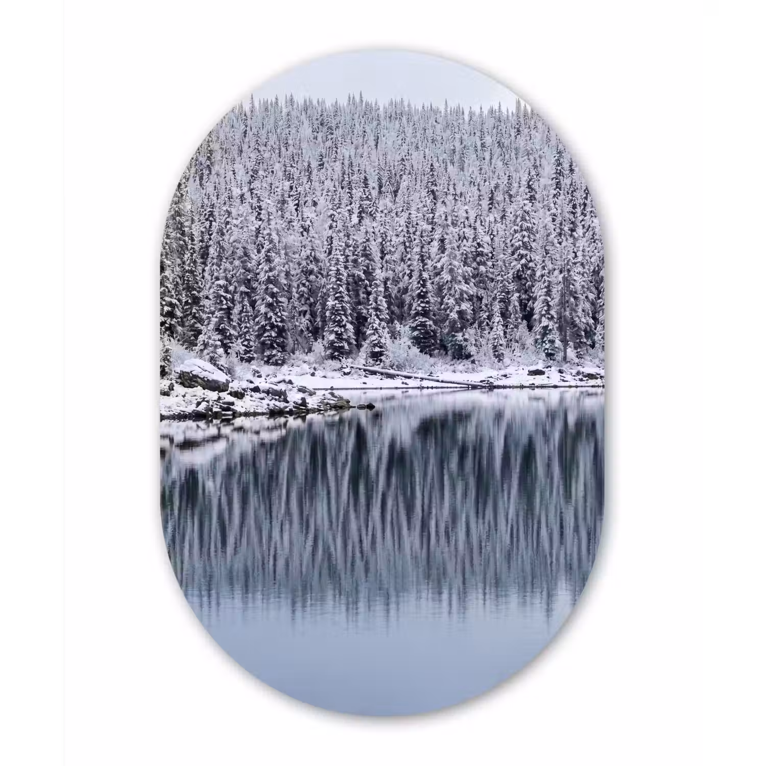 Bos - Reflectie - Meer - Winter - Serene Wandcirkel Ovaal Forex klein -3d
