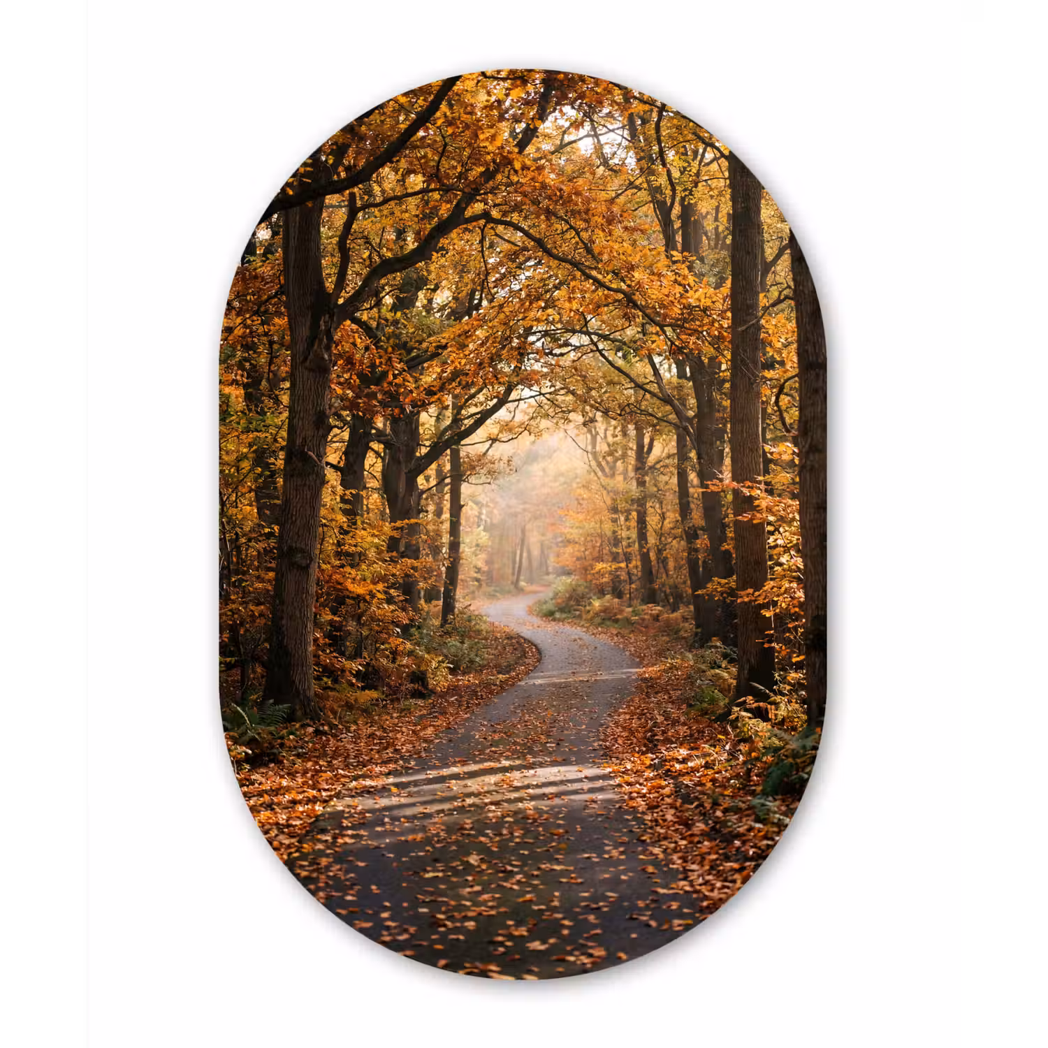 Bospad - Herfstbos - Bladeren - Oranje - Nostalgisch Wandcirkel Ovaal Forex klein -3d