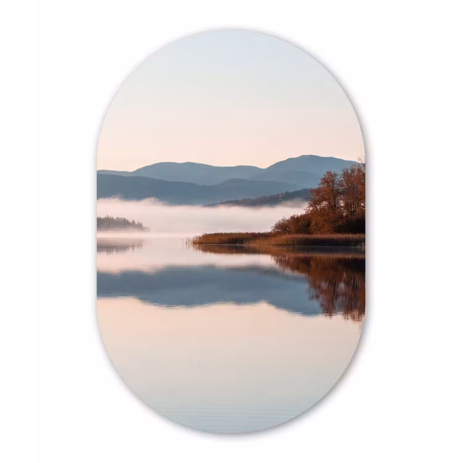 Water - Bomen - Mistlaag Wandcirkel Ovaal Forex klein -3d