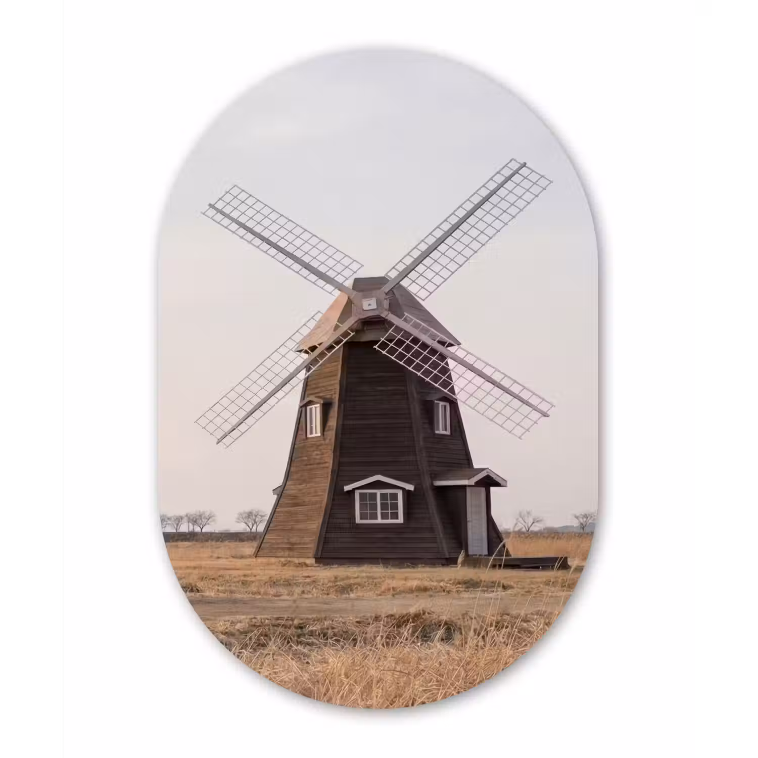 Windmolens - Landschap - Veld Wandcirkel Ovaal Forex klein -3d