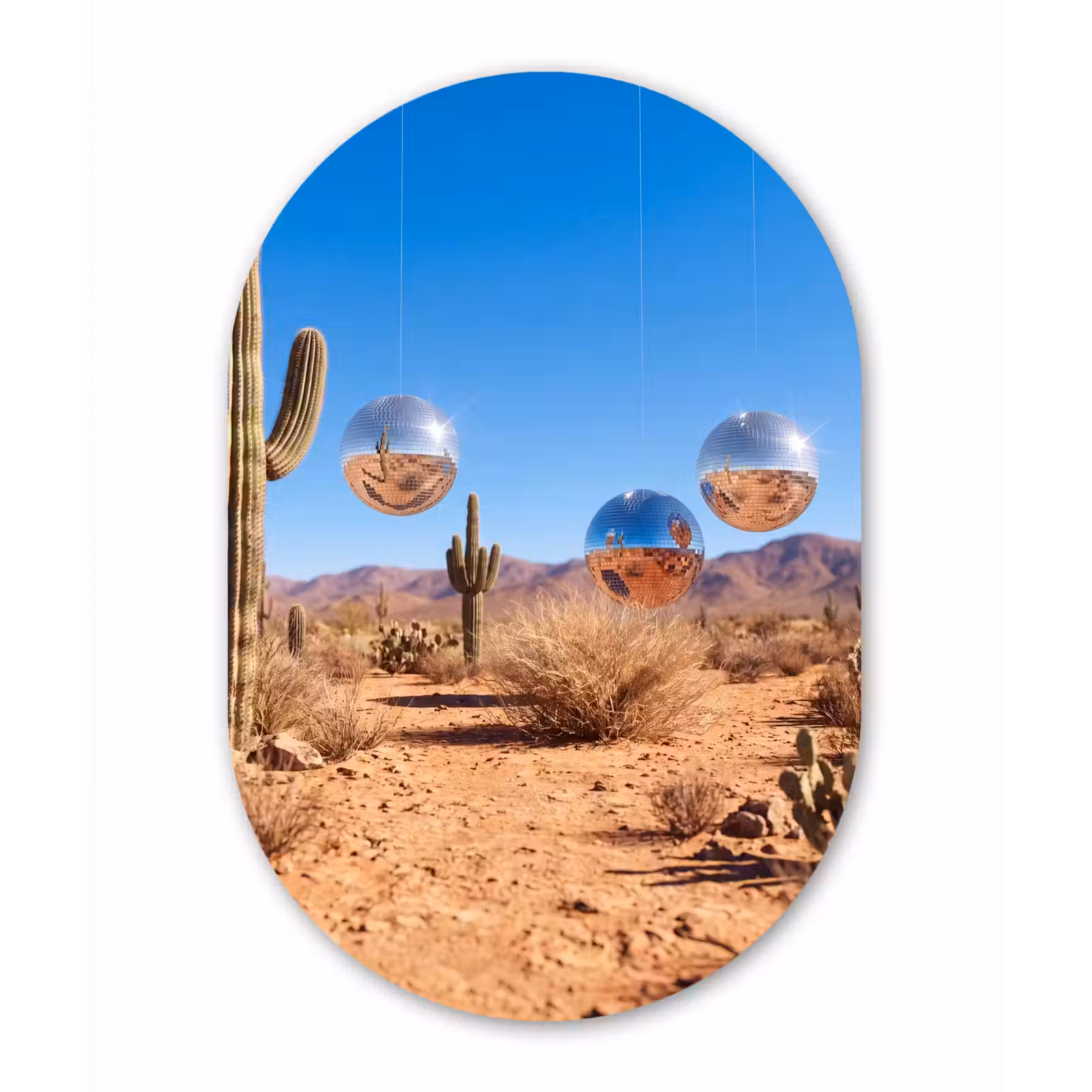 Forexbild Oval - Wüste – Spiegelkugel – Kunst - Woestijn - Spiegelbal - Kunst Wandcirkel Ovaal Forex klein