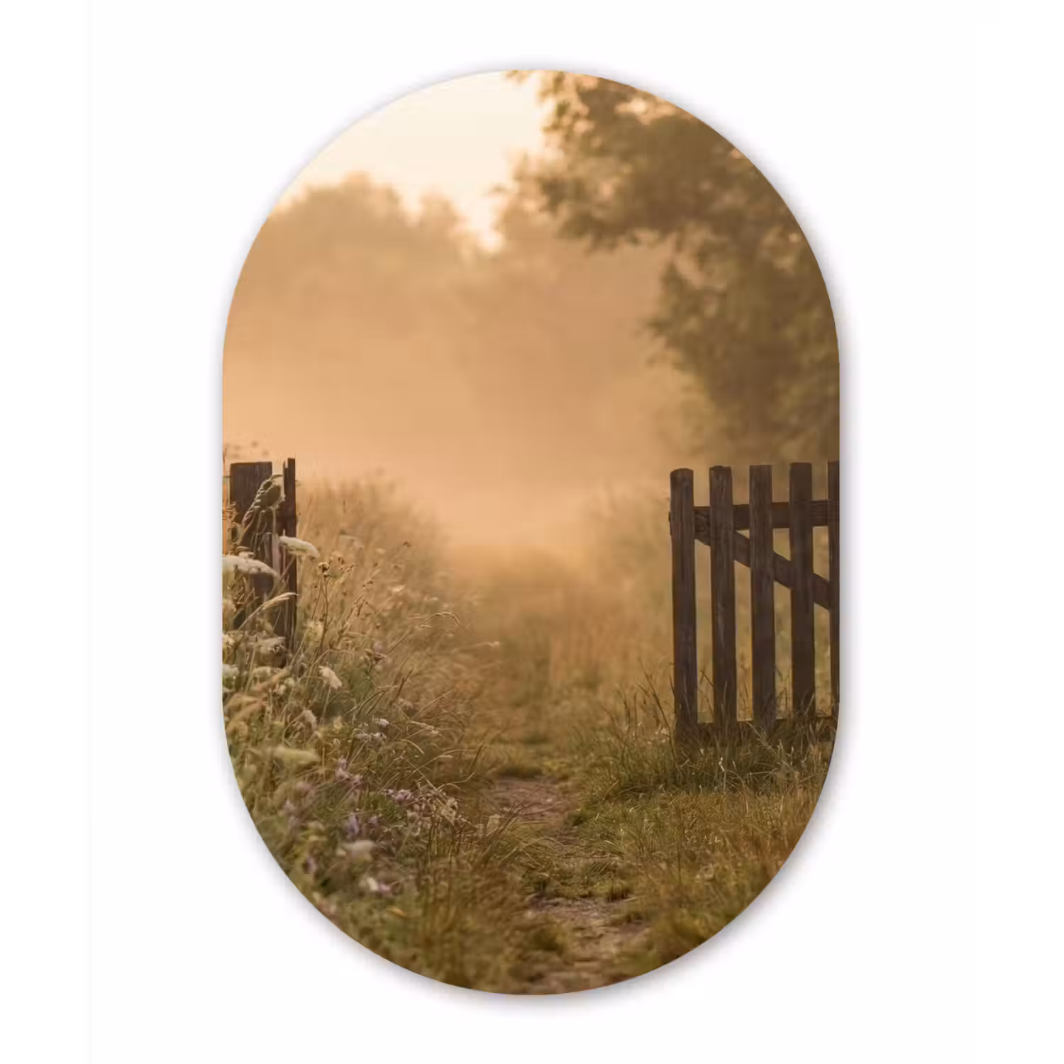 Hek - Natuur - Mist - Veld Wandcirkel Ovaal Forex klein -3d