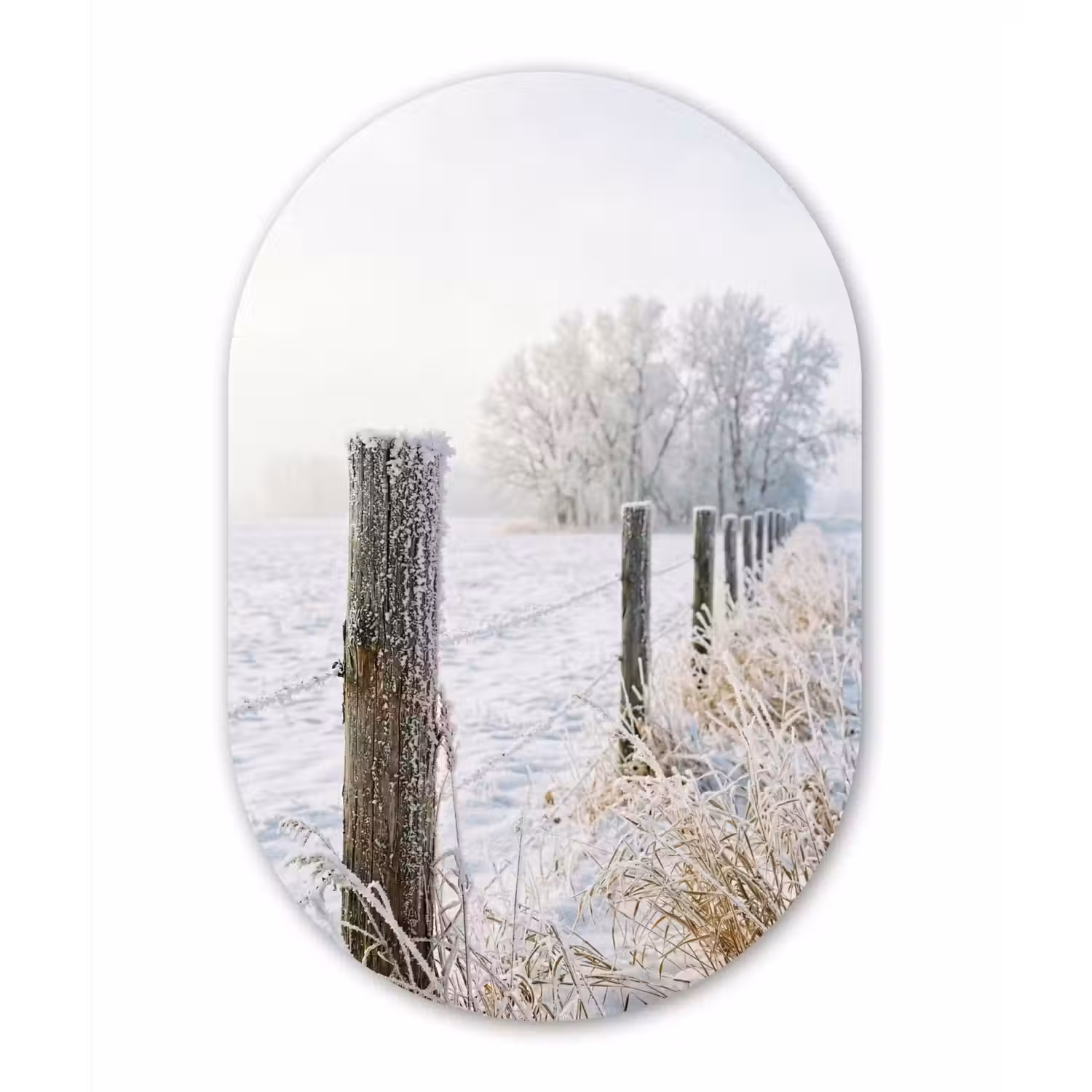Hek - Sneeuw - Mist - Platteland - Nostalgisch Wandcirkel Ovaal Forex klein -3d