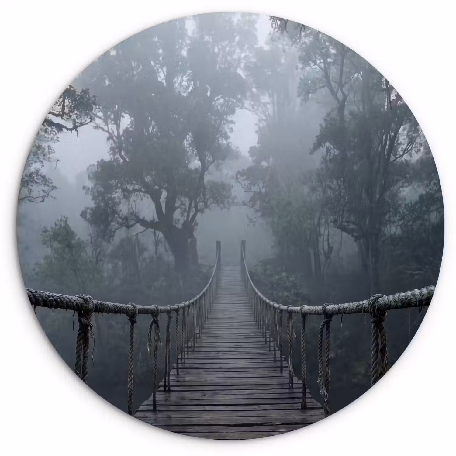 Brug - Jungle - Mist - Natuur Wandcirkel kunststof plaat 5mm dik klein -3d