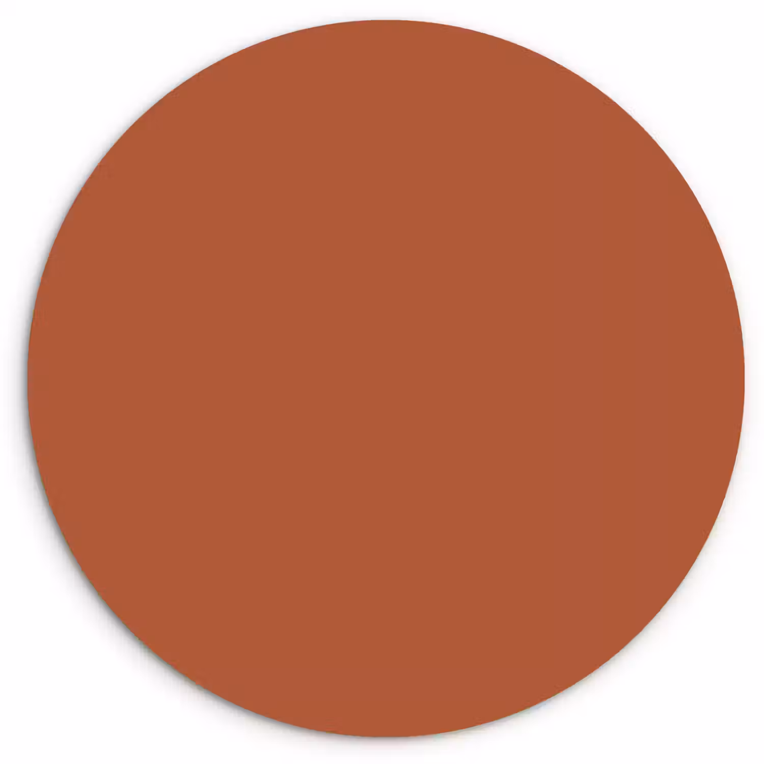 Burnt - Sienna - Oranje Wandcirkel kunststof plaat 5mm dik klein 188 -3d