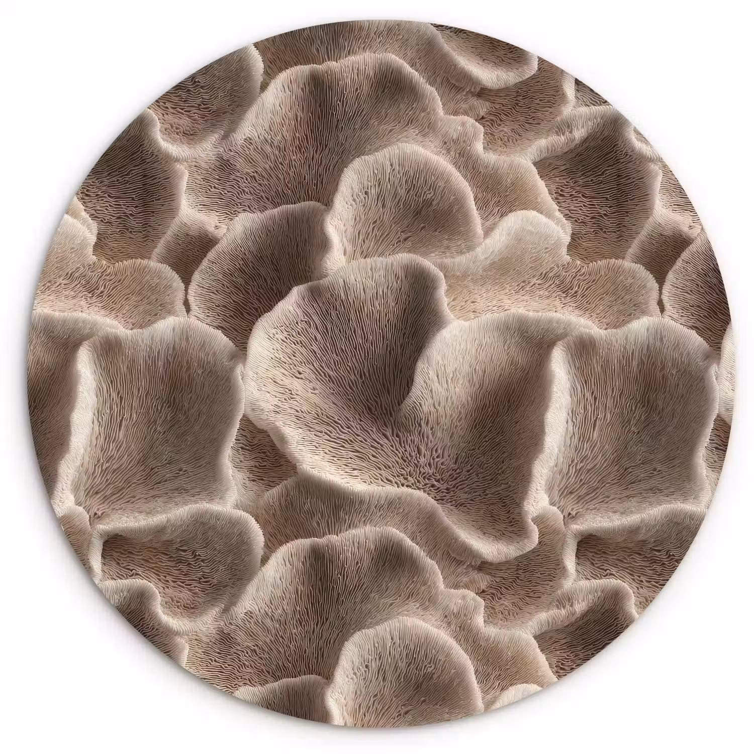 Waaiervorm - Beige - Vezel textuur Wandcirkel kunststof plaat 5mm dik klein 188 -3d