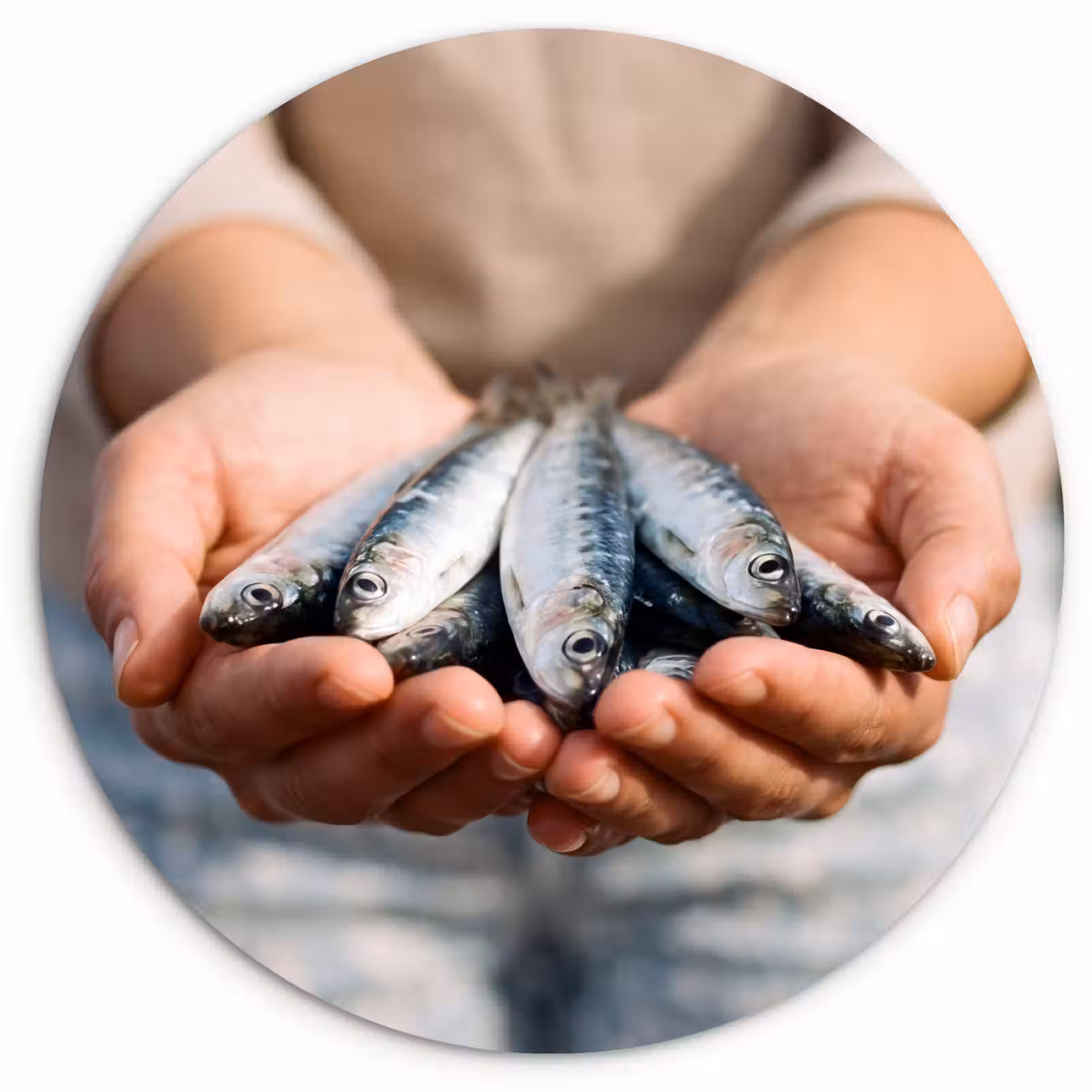 Forexbild Rund - Fisch – Hände – Natur - Vis - Handen - Natuur Wandcirkel kunststof plaat 5mm dik klein