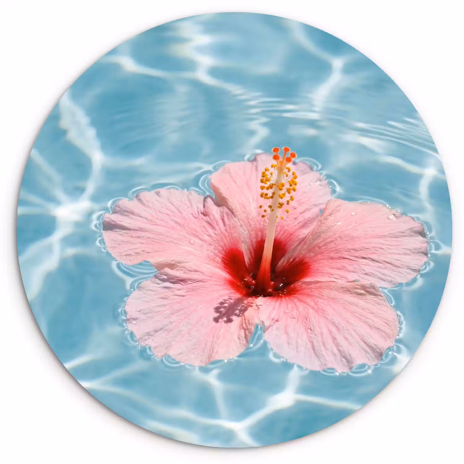 Hibiscus - Water - Roze Wandcirkel kunststof plaat 5mm dik klein -3d