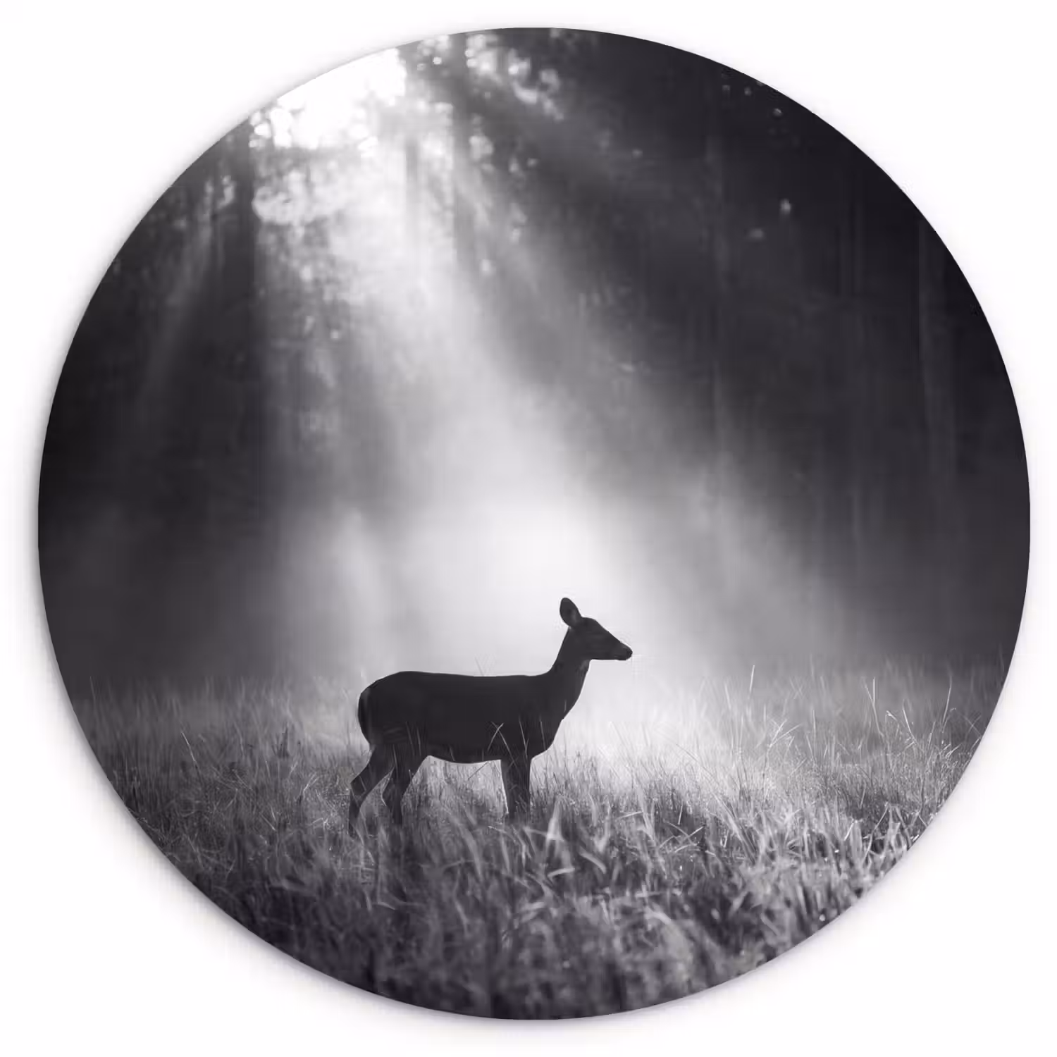 Hert - Bos - Zonnestralen - Zwart-wit - Natuur Wandcirkel kunststof plaat 5mm dik klein -3d