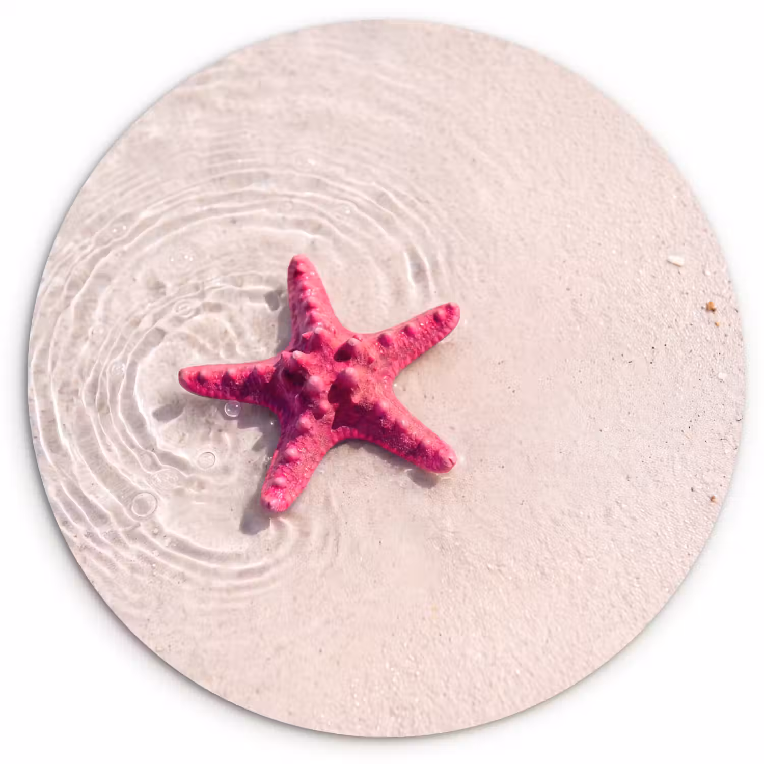 Zeeleven - Zeester - Strand - Roze - Water Wandcirkel kunststof plaat 5mm dik klein -3d