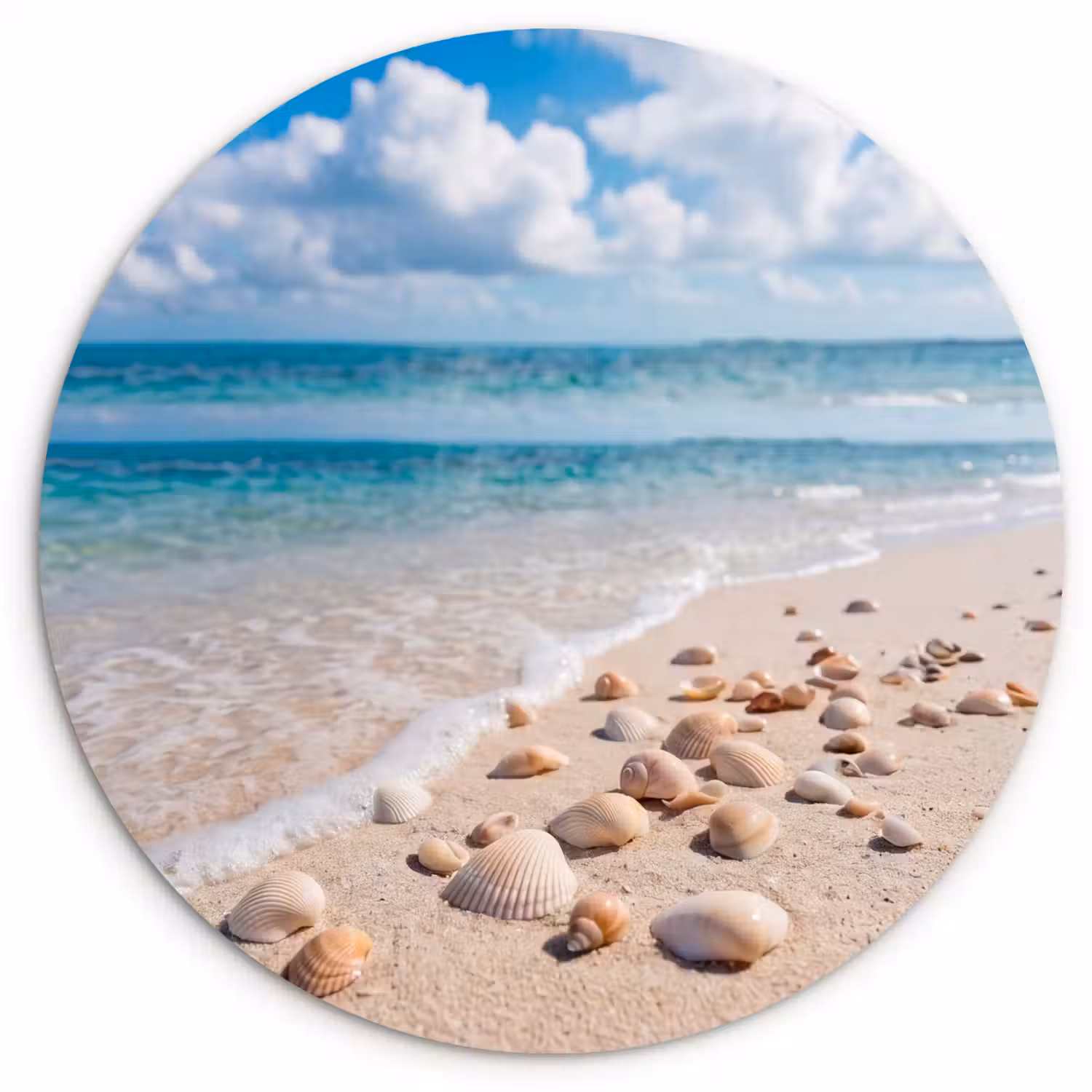 Schelpen - Strand - Natuur - Beige Wandcirkel kunststof plaat 5mm dik klein -3d
