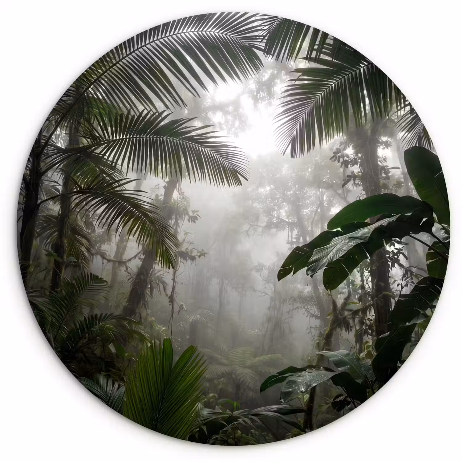 Natuur - Jungle - Mist - Groen - Bladeren Wandcirkel kunststof plaat 5mm dik klein -3d