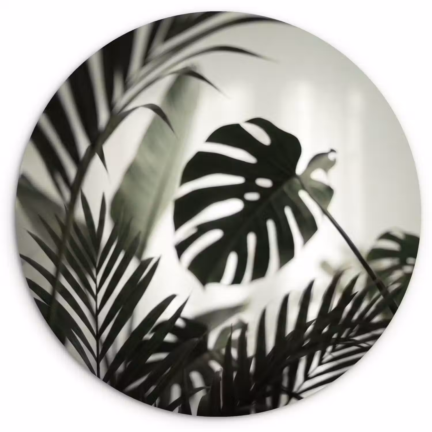 Planten - Bladeren - Natuur - Minimalistisch - Groen Wandcirkel kunststof plaat 5mm dik klein -3d