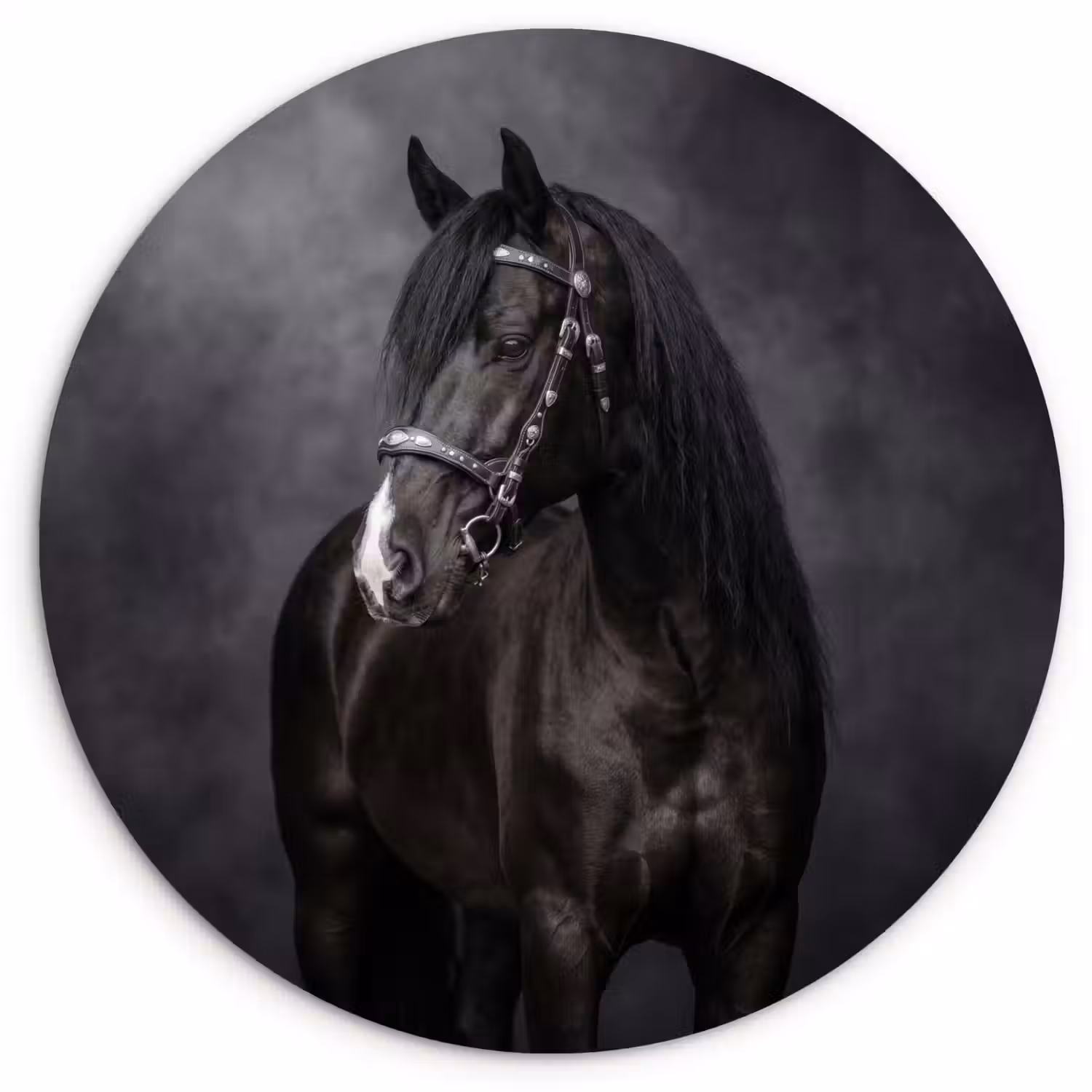 Portret - Paard - Zwart Wandcirkel kunststof plaat 5mm dik klein -3d