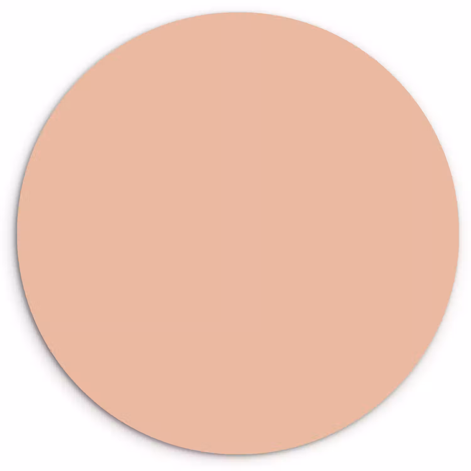 Blush - Terracotta - Nude Wandcirkel kunststof plaat 5mm dik klein 188 -3d