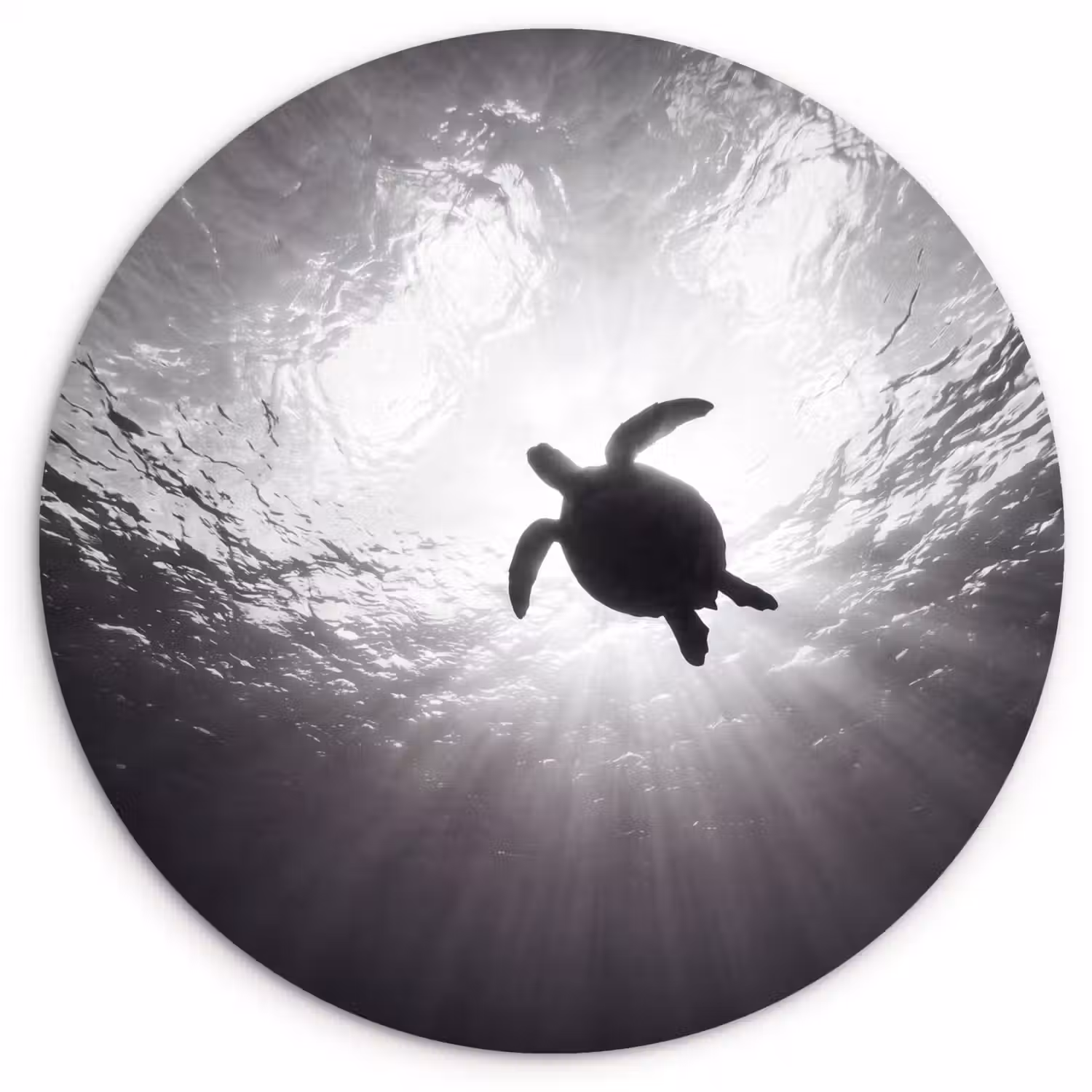 Schildpad - Onderwater - Lichtstralen - Oceaan - Zwart-wit Wandcirkel kunststof plaat 5mm dik klein -3d
