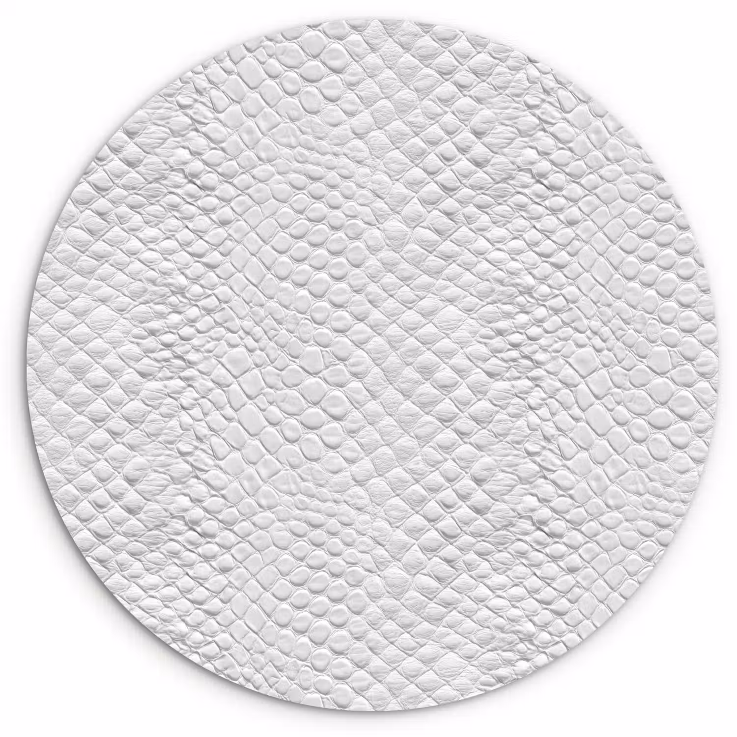 Slang - Patroon - Wit Wandcirkel kunststof plaat 5mm dik klein 188 -3d