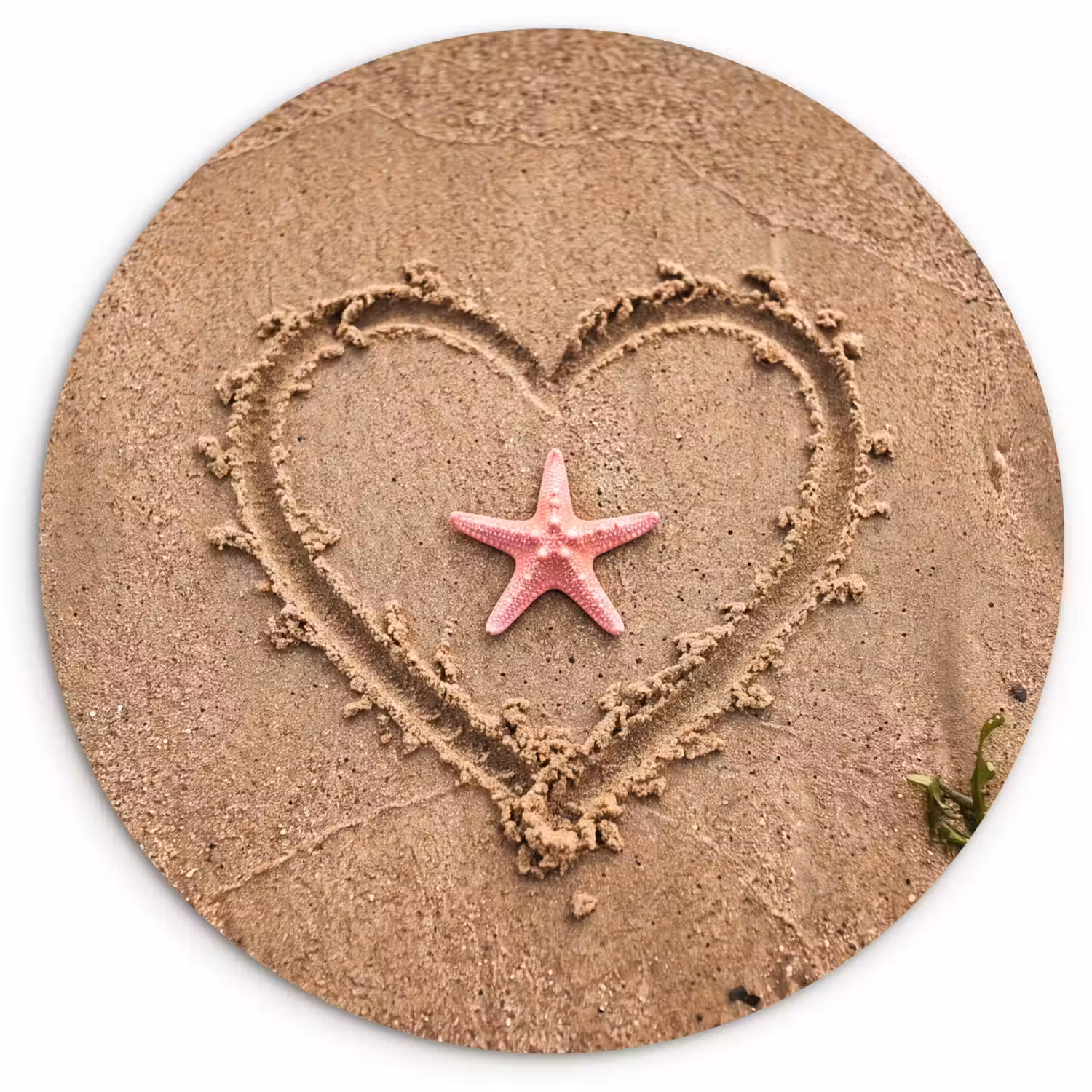 Dieren - Hart - Strand - Zand - Roze Wandcirkel kunststof plaat 5mm dik klein -3d