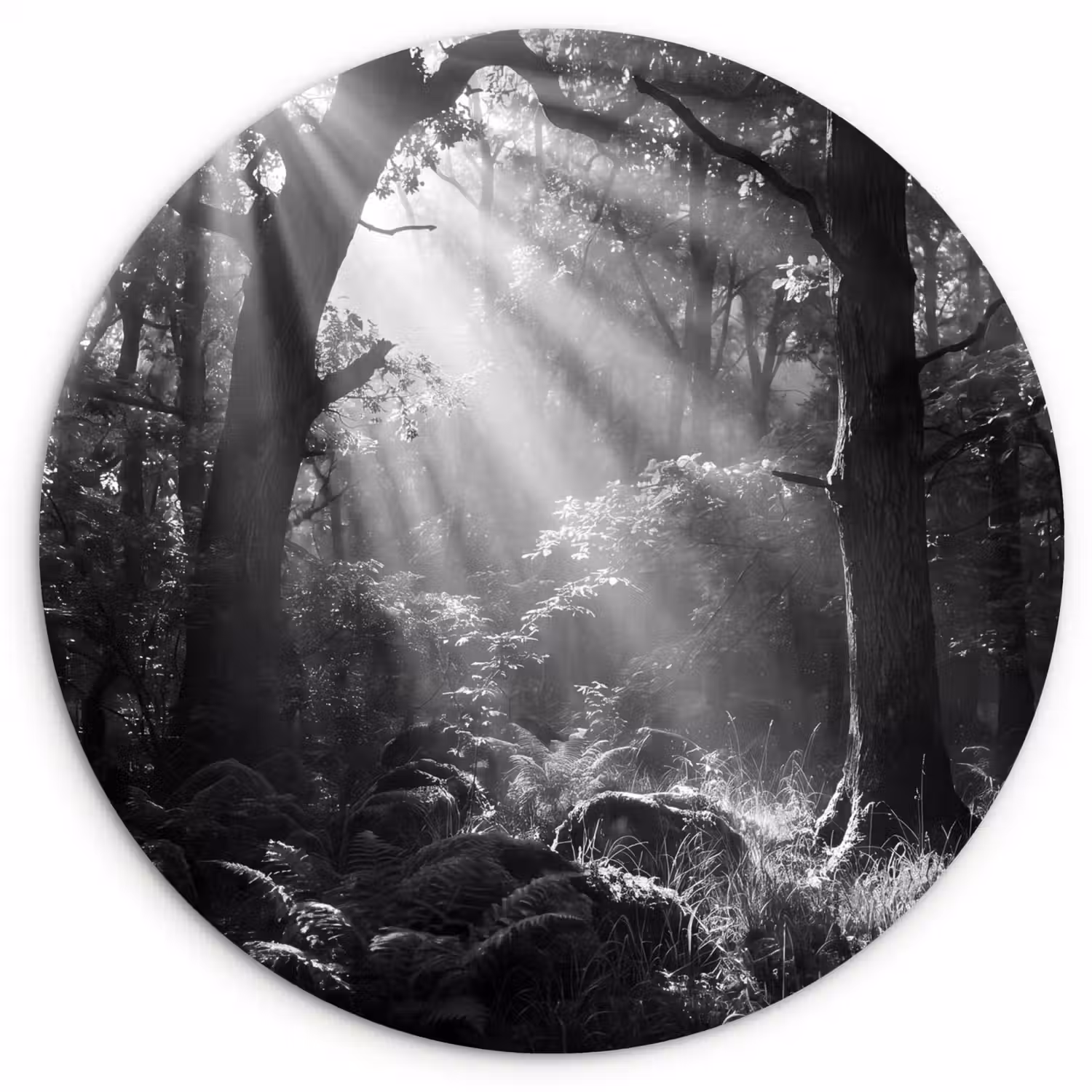 Bos - Lichtstralen - Natuur - Zwart-wit Wandcirkel kunststof plaat 5mm dik klein -3d