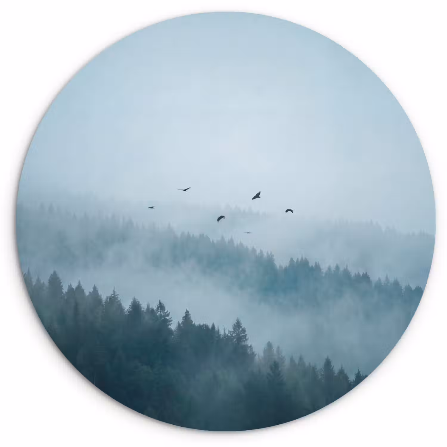 Bos - Mist - Vogels - Natuur - Groen Wandcirkel kunststof plaat 5mm dik klein -3d