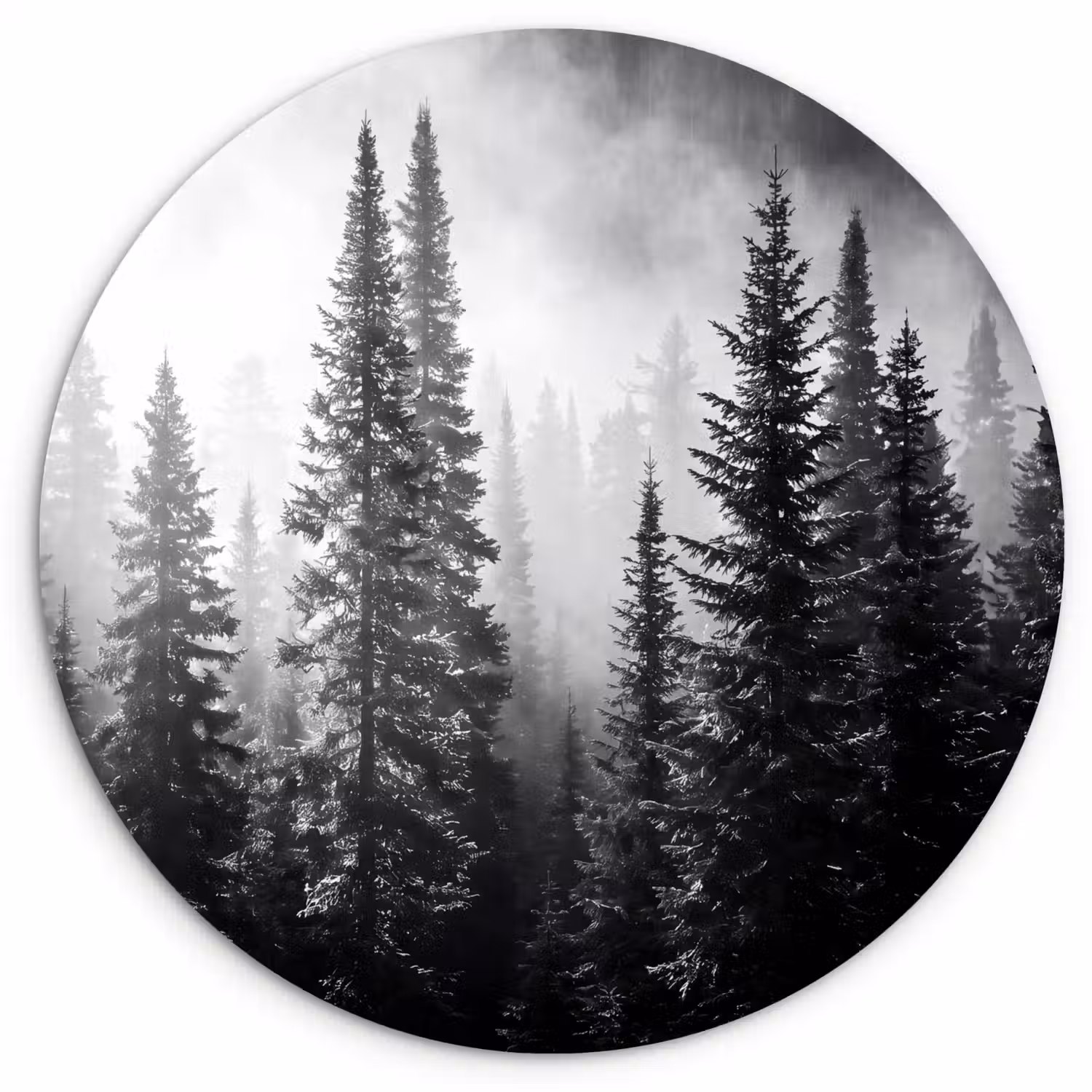 Bos - Mist - Winter - Monochroom - Natuur Wandcirkel kunststof plaat 5mm dik klein -3d
