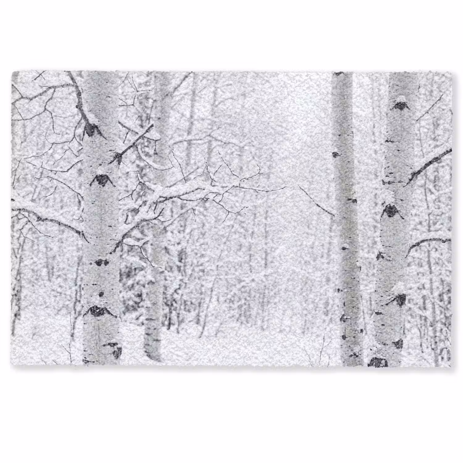 Berkenbomen - Sneeuw - Winter - Bos - Wit Deurmat klein -zkaufland3d