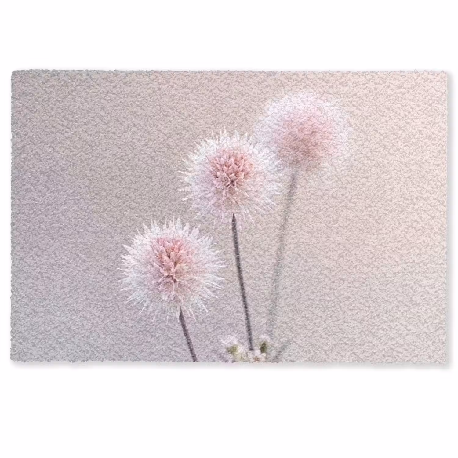 Bloemen - Bollen - Roze Deurmat klein -zkaufland3d