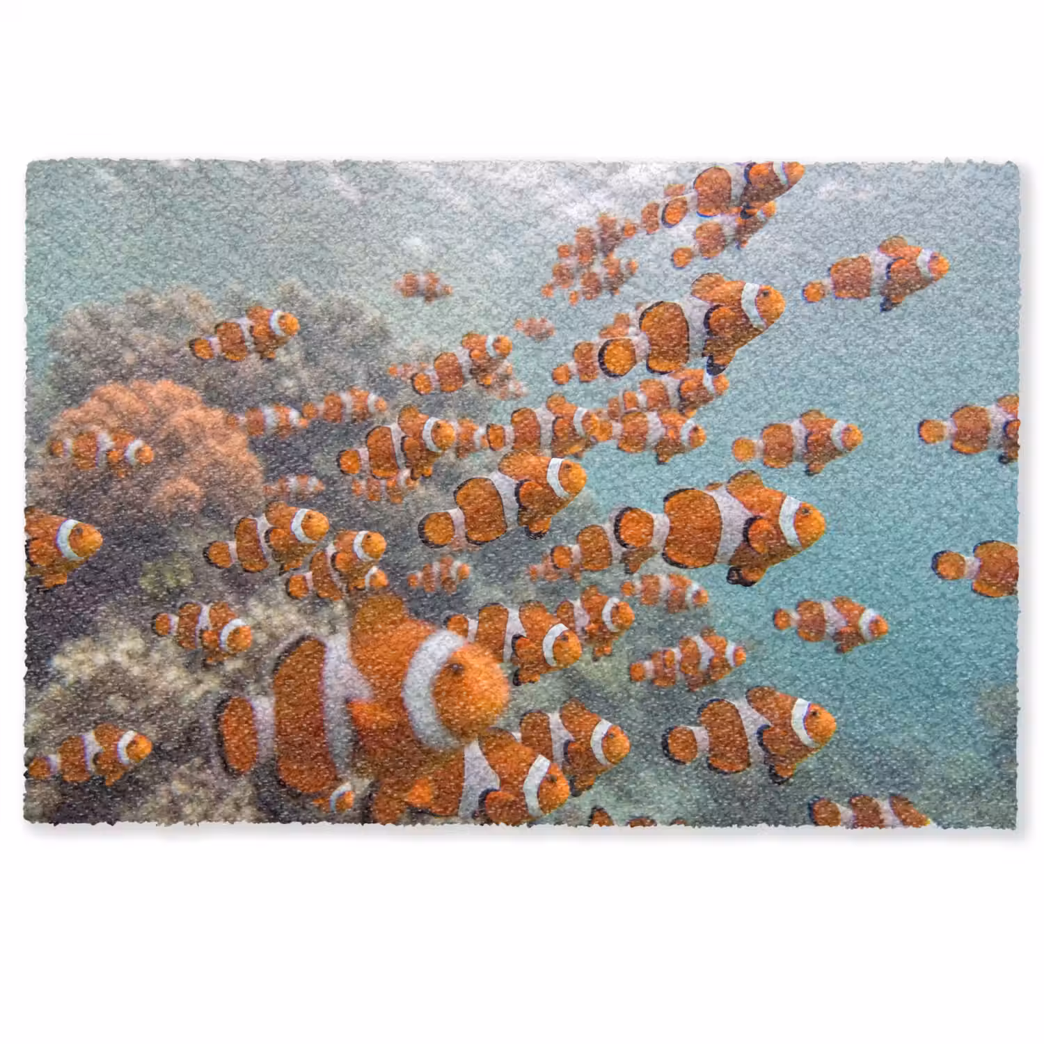 Vis - School - Onderwater - Dieren - Oranje Deurmat klein -zkaufland3d
