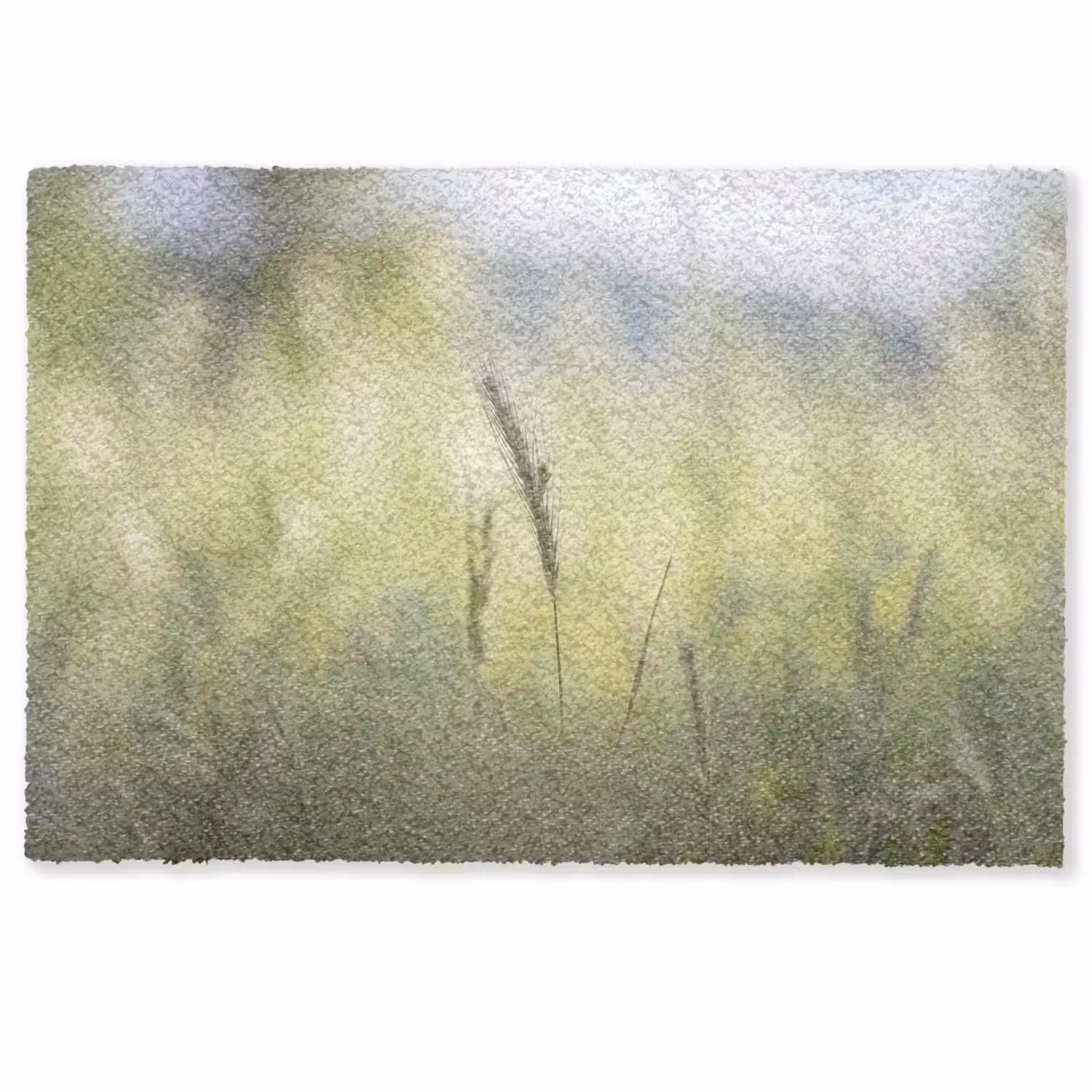 Graan - Aar - Natuur - Groen - Detail Deurmat klein -zkaufland3d