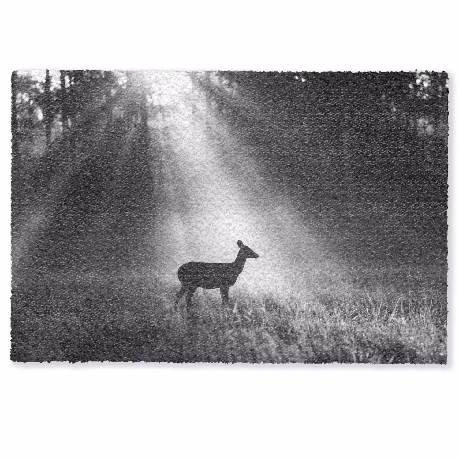 Hert - Bos - Zonnestralen - Zwart-wit - Natuur Deurmat klein -zkaufland3d