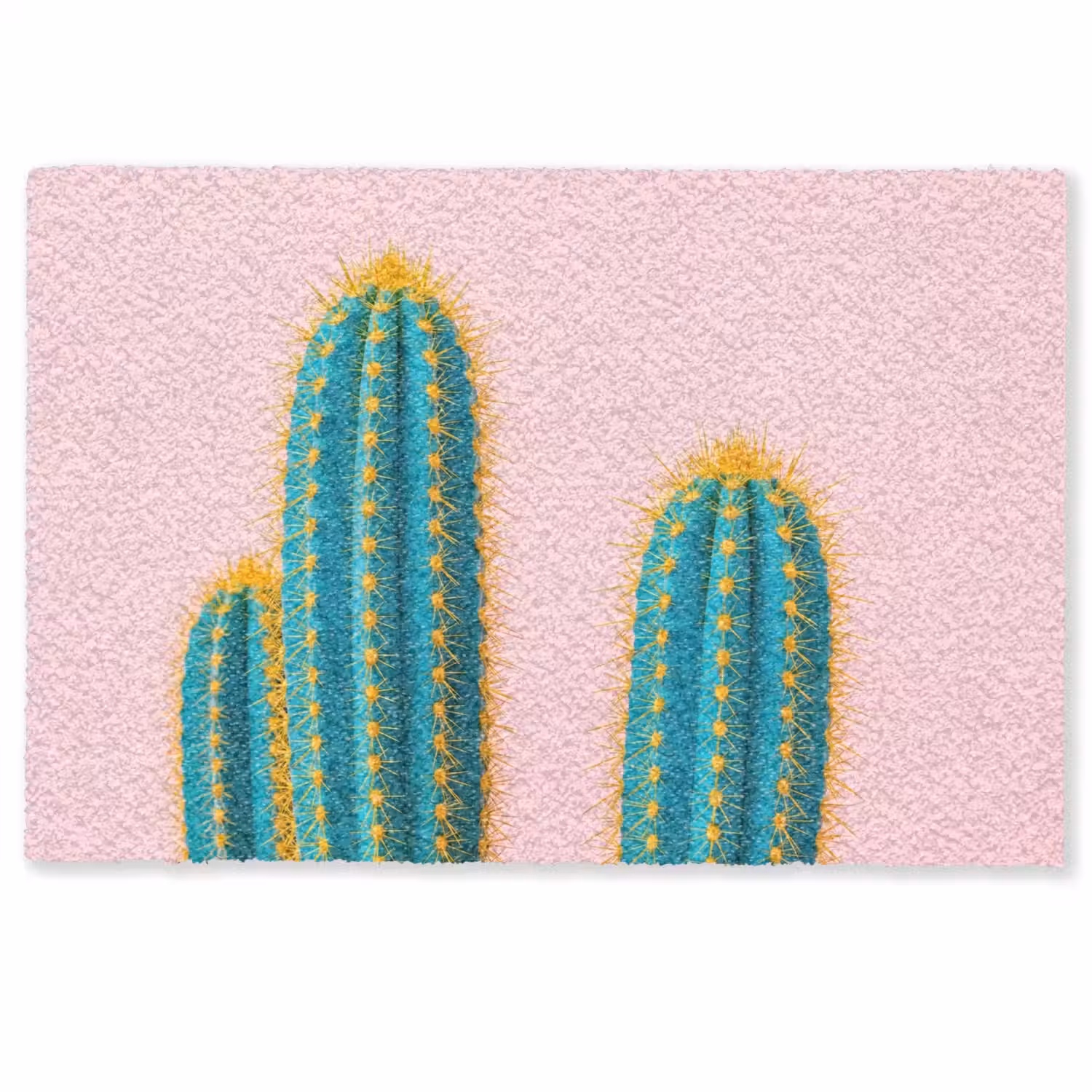 Cactussen - Modern - Pastel Deurmat klein -zkaufland3d
