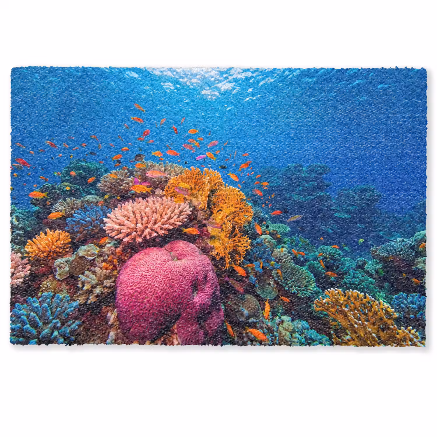 Koraal - Vissen - Oceaan - Natuur - Kleurrijk Deurmat klein -zkaufland3d