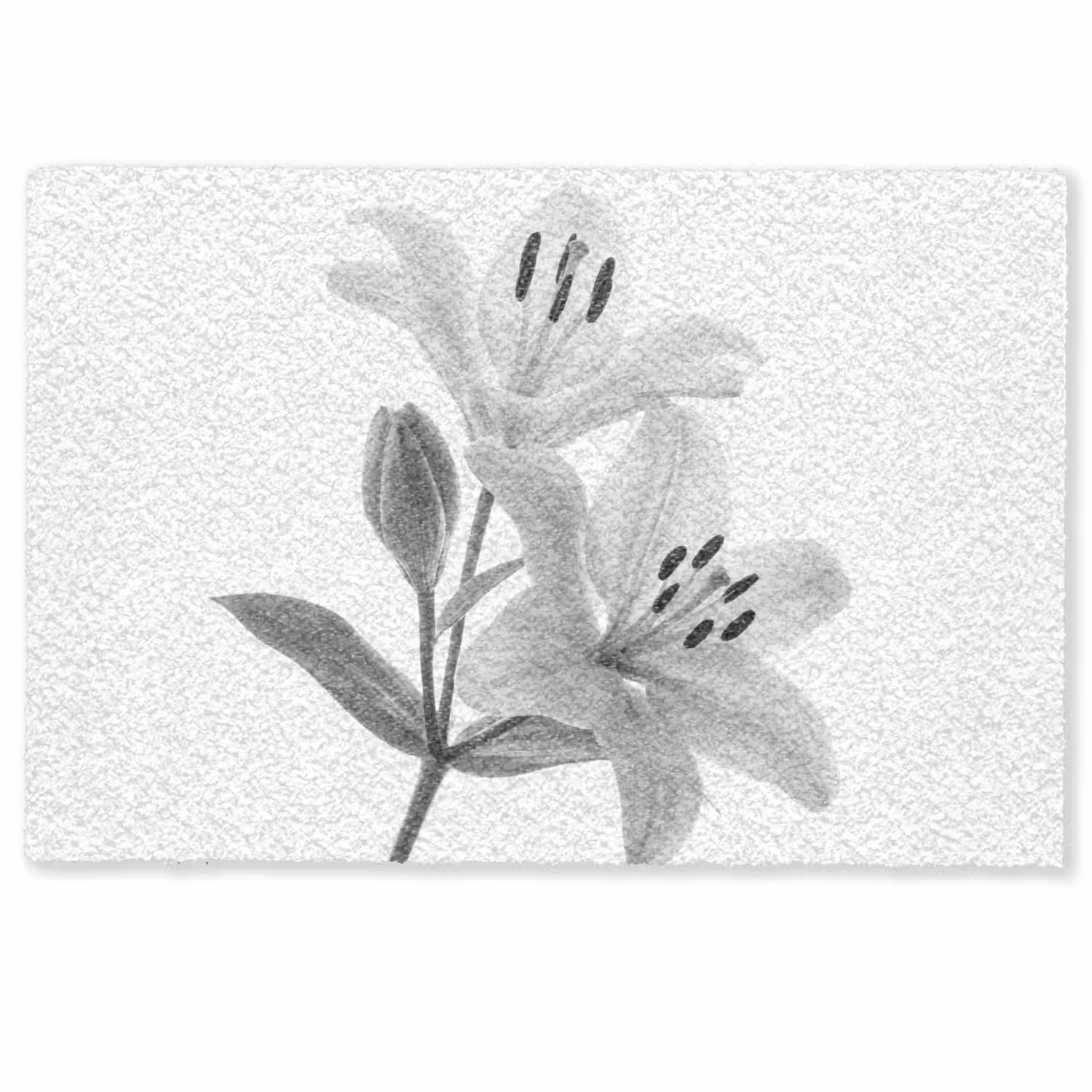 Lelies - Elegant - Zwart - Wit Deurmat klein -zkaufland3d