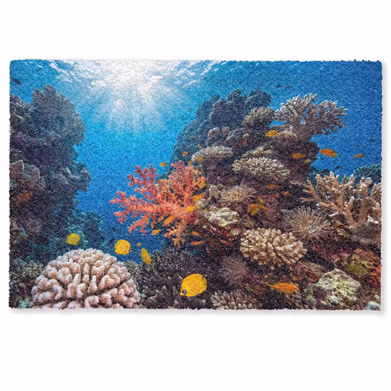 Zee - Koraalrif - Natuur - Levendig - Blauw Deurmat klein -zkaufland3d