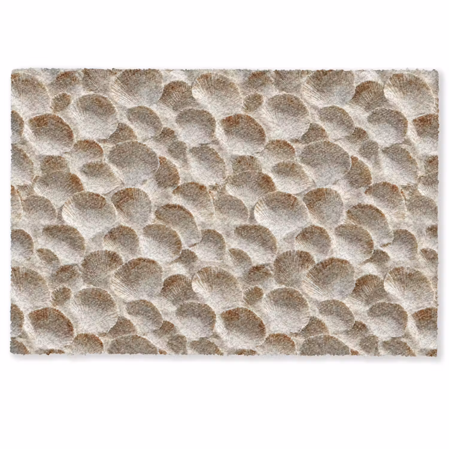 Schelpen - Waaiervorm - Wit Deurmat klein 898 -zkaufland3d