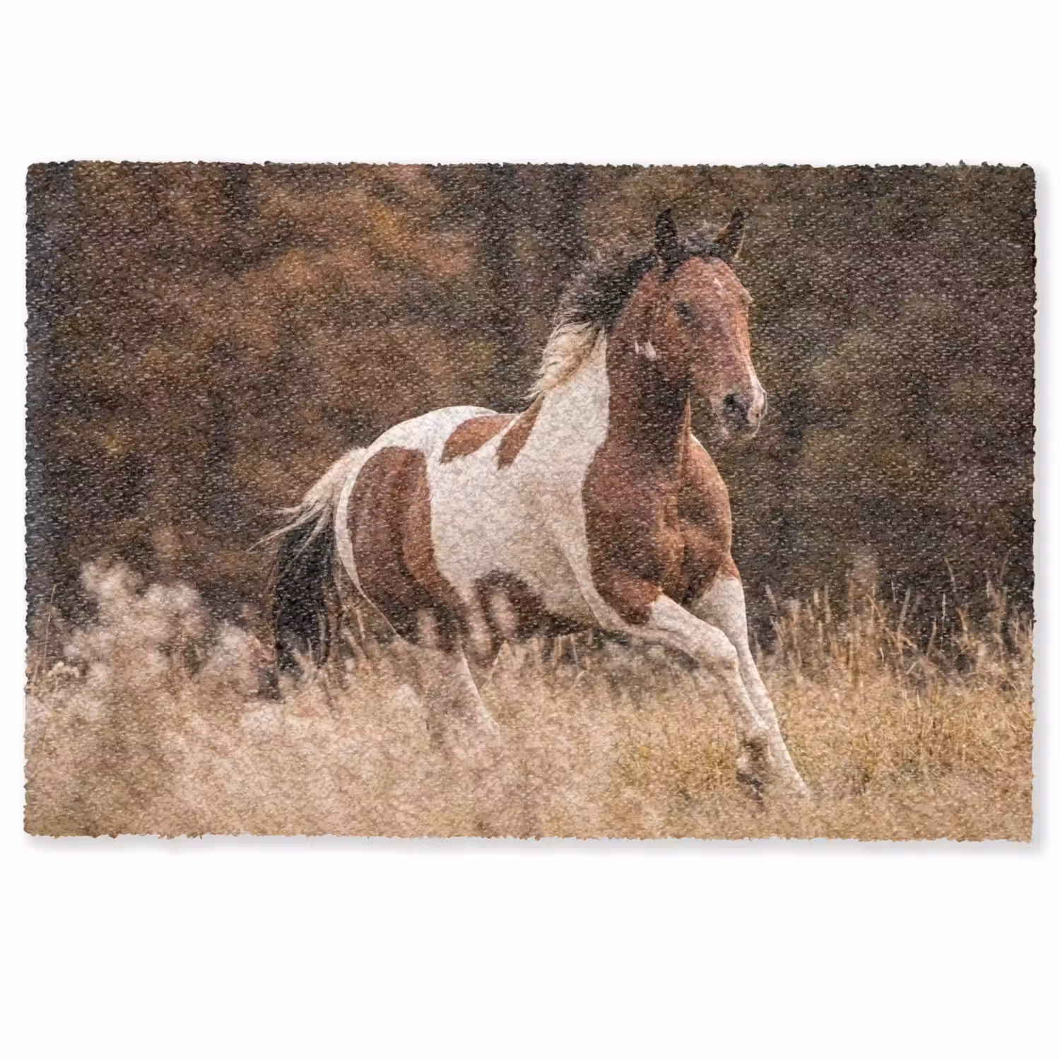 Paard - Bruin - Gras Deurmat klein -zkaufland3d