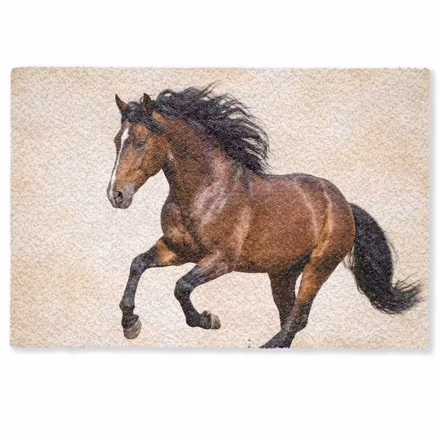 Paard - Galop - Energie Deurmat klein -zkaufland3d