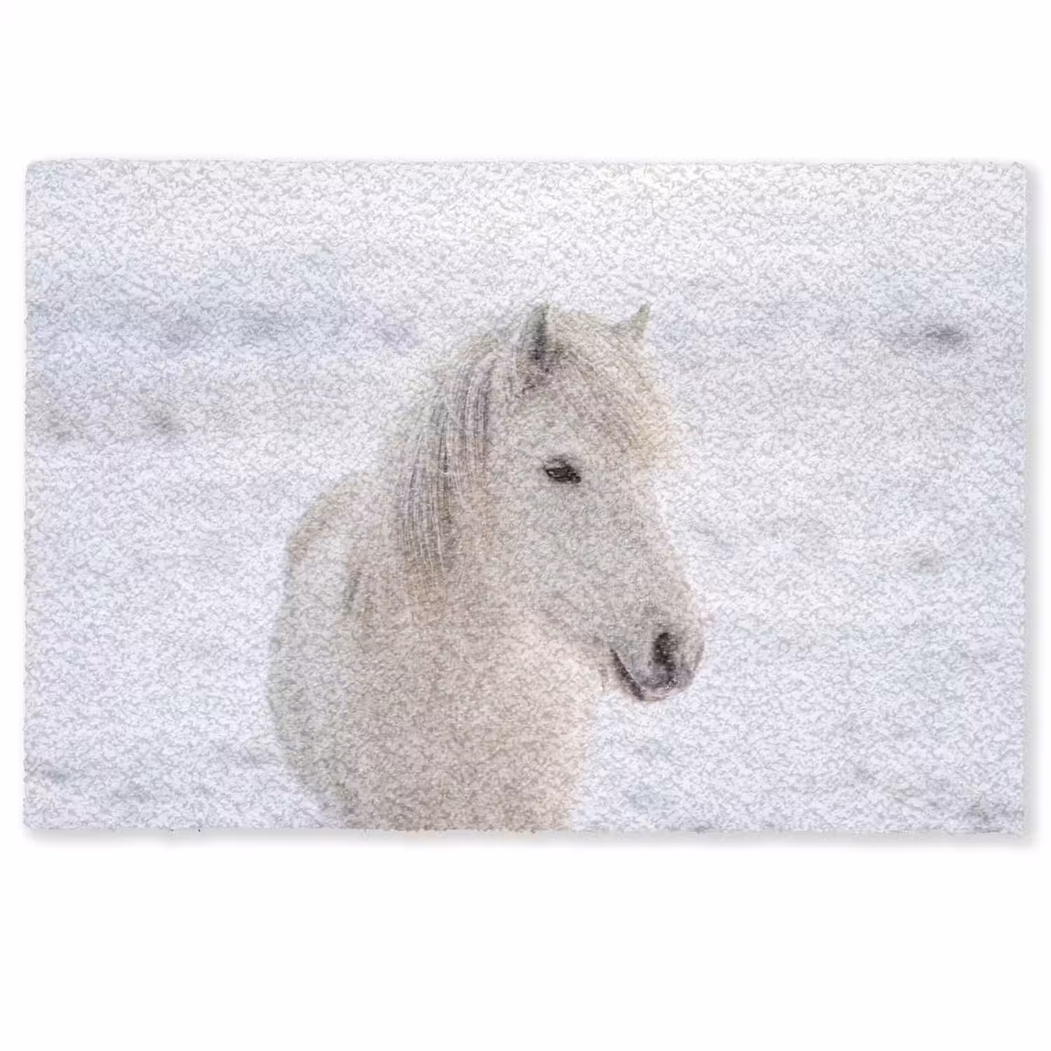Paard - Kop - Winter - Dieren - Wit Deurmat klein -zkaufland3d
