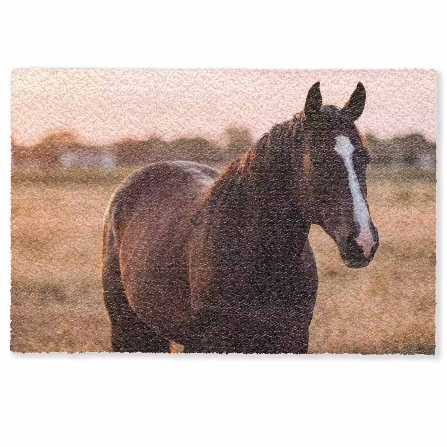 Paard - Zonsondergang - Bruin Deurmat klein -zkaufland3d
