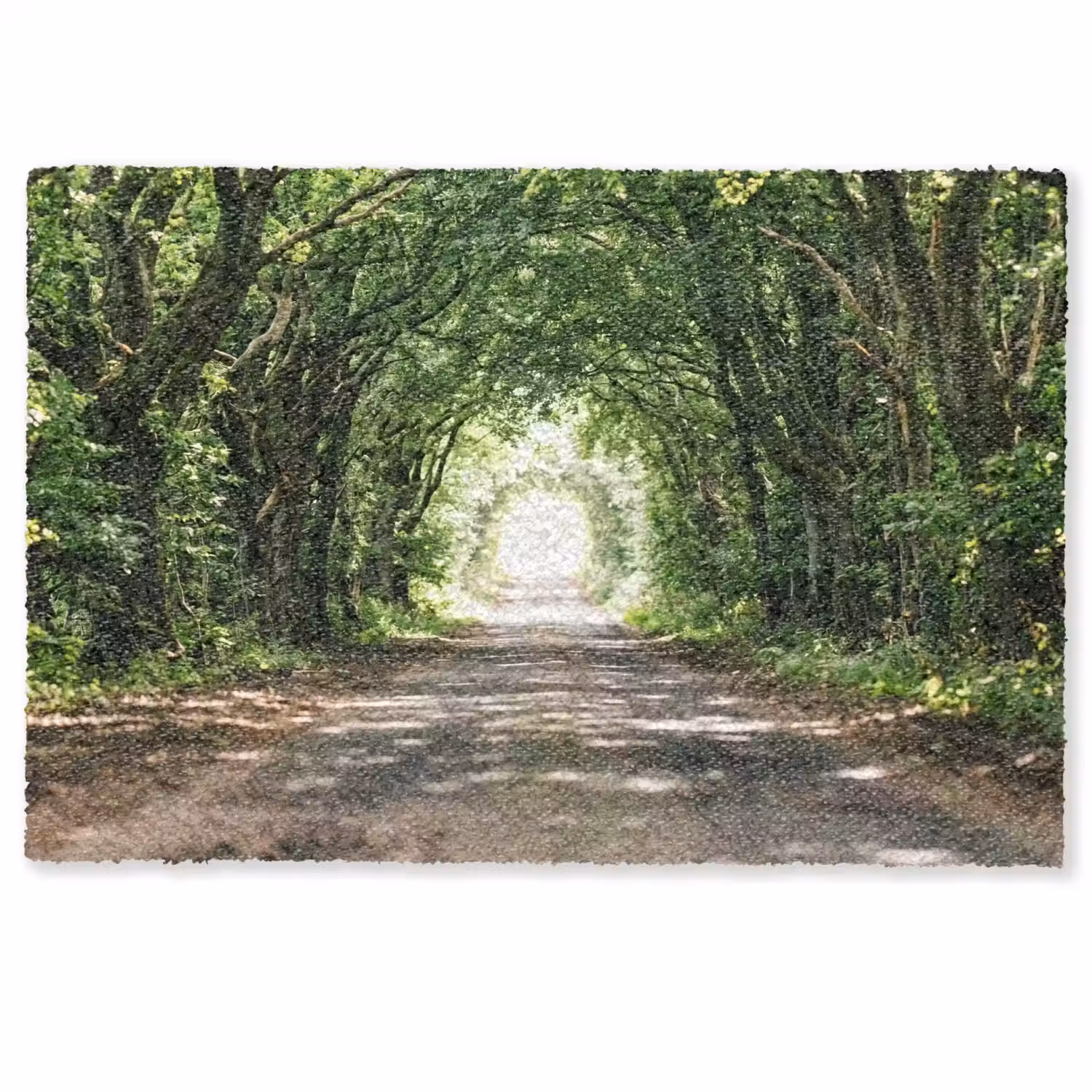 Weg - Bomen - Natuur - Groen Deurmat klein -zkaufland3d