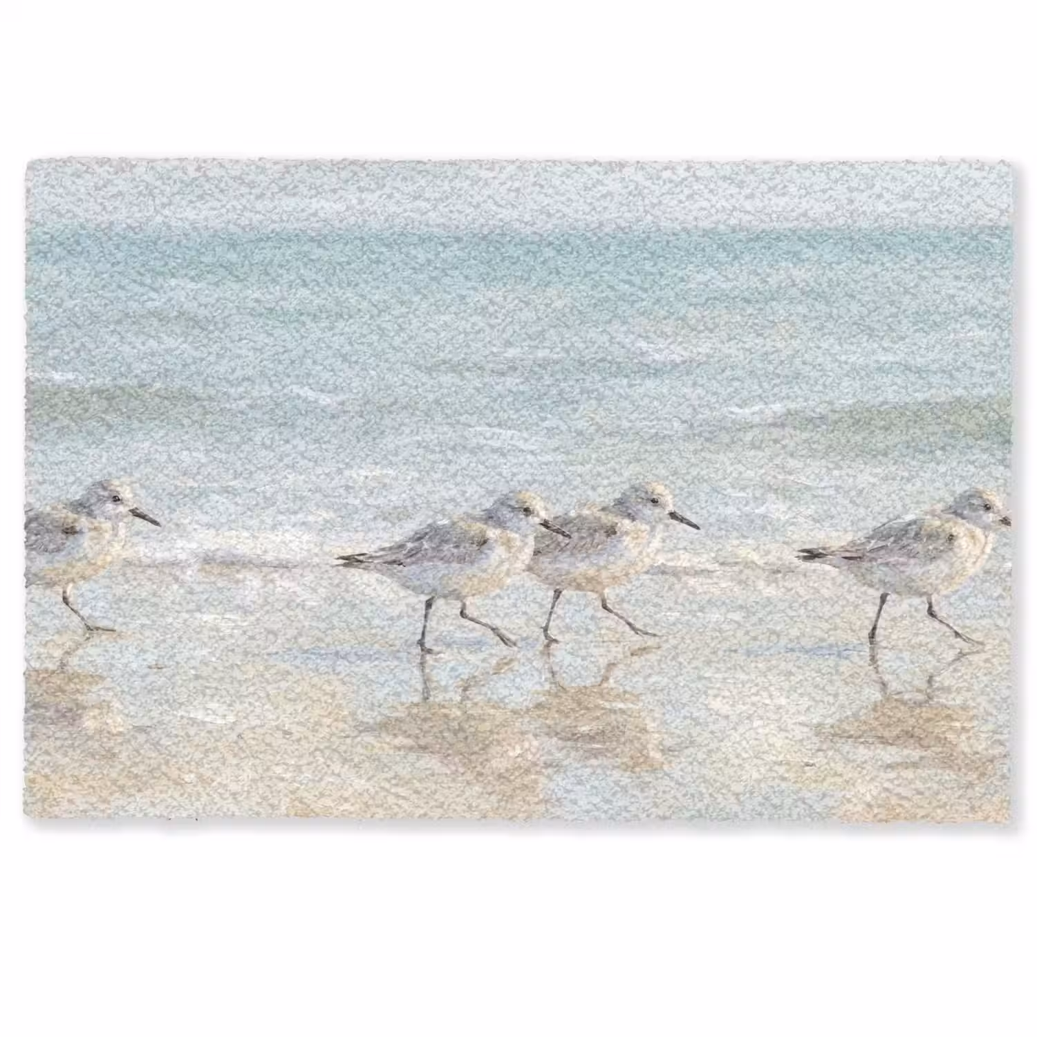 Vogels - Strand - Zee Deurmat klein -zkaufland3d