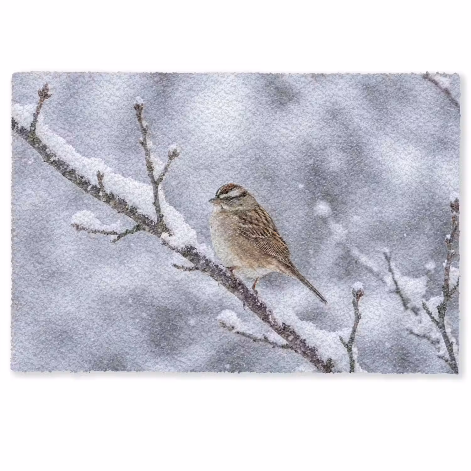 Vogel - Tak - Sneeuw - Winter Deurmat klein -zkaufland3d