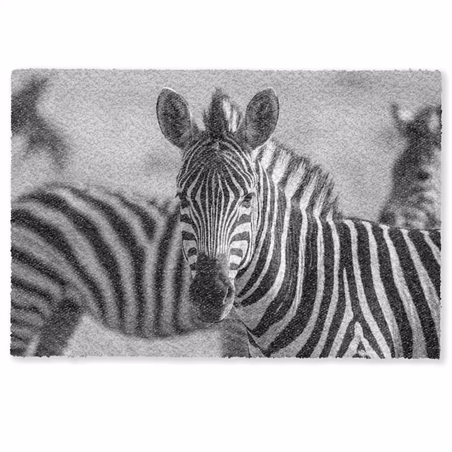 Zebra's - Zwart - Wit Deurmat klein -zkaufland3d