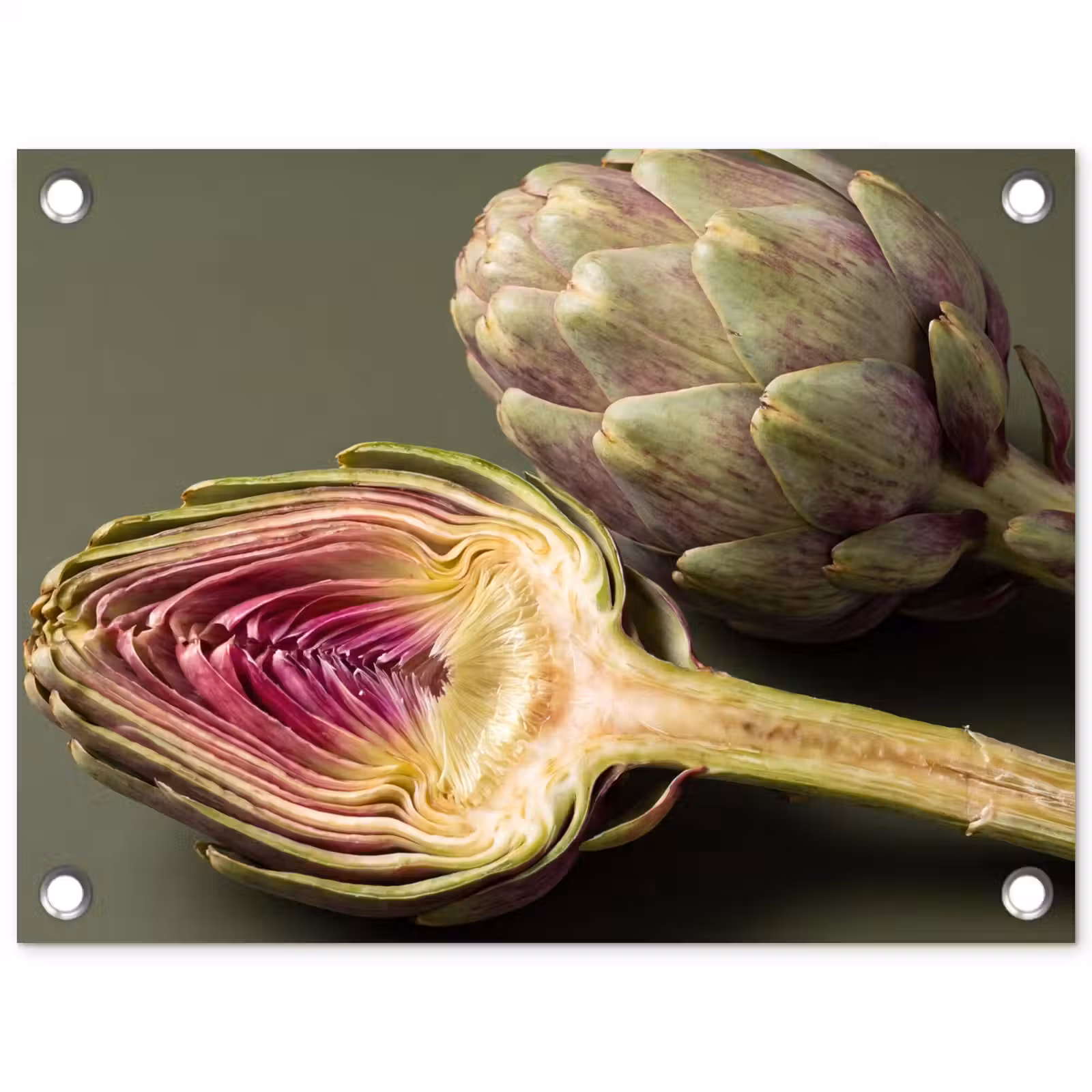 Gartenposter - Artischocke – Violett – Lebensmittel - Artisjok - Paars - Voedsel tuinposter los doek klein