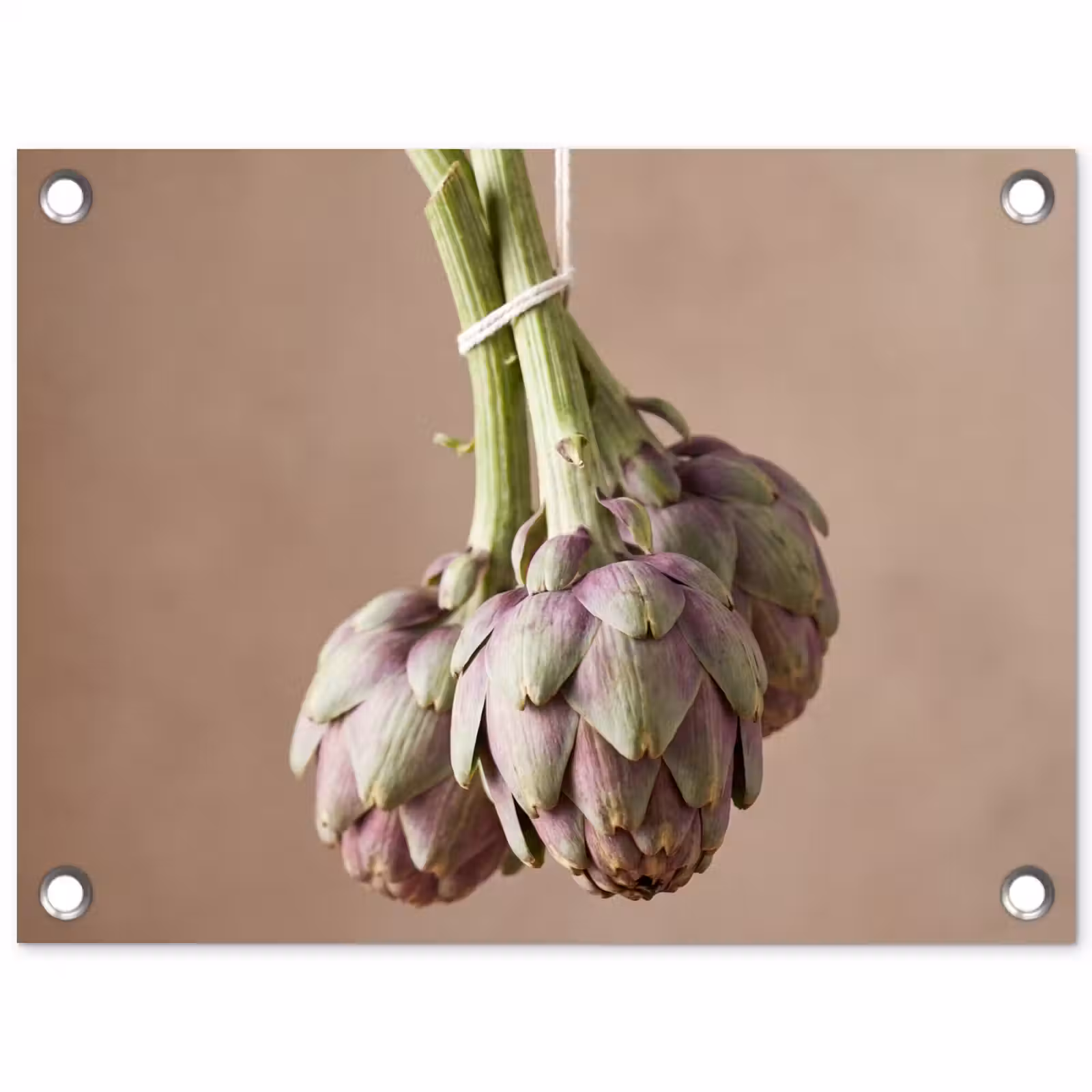 Gartenposter - Artischocken – Hängend – Gemüse - Artisjokken - Hangend - Groenten tuinposter los doek klein