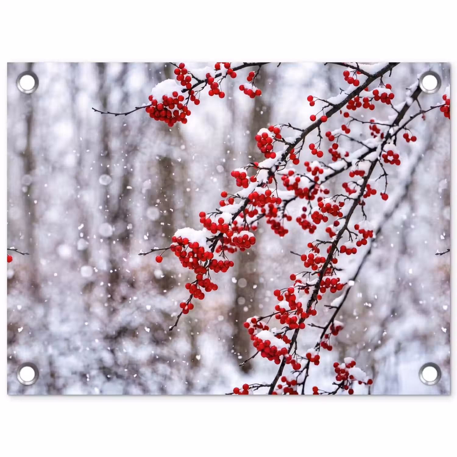 Bessen - Takken - Sneeuw - Winter - Kleurrijk tuinposter los doek klein -3d