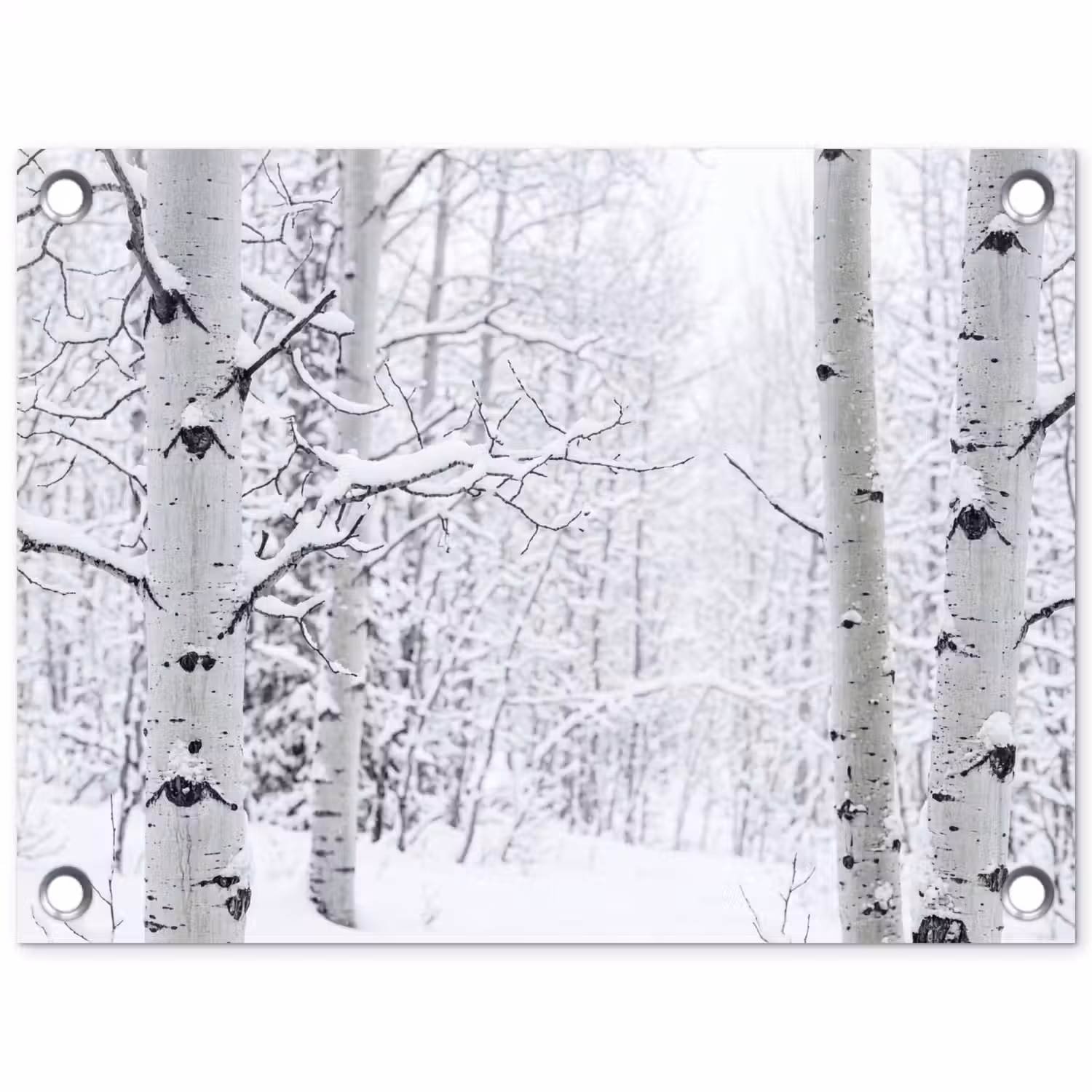 Berkenbomen - Sneeuw - Winter - Bos - Wit tuinposter los doek klein -3d
