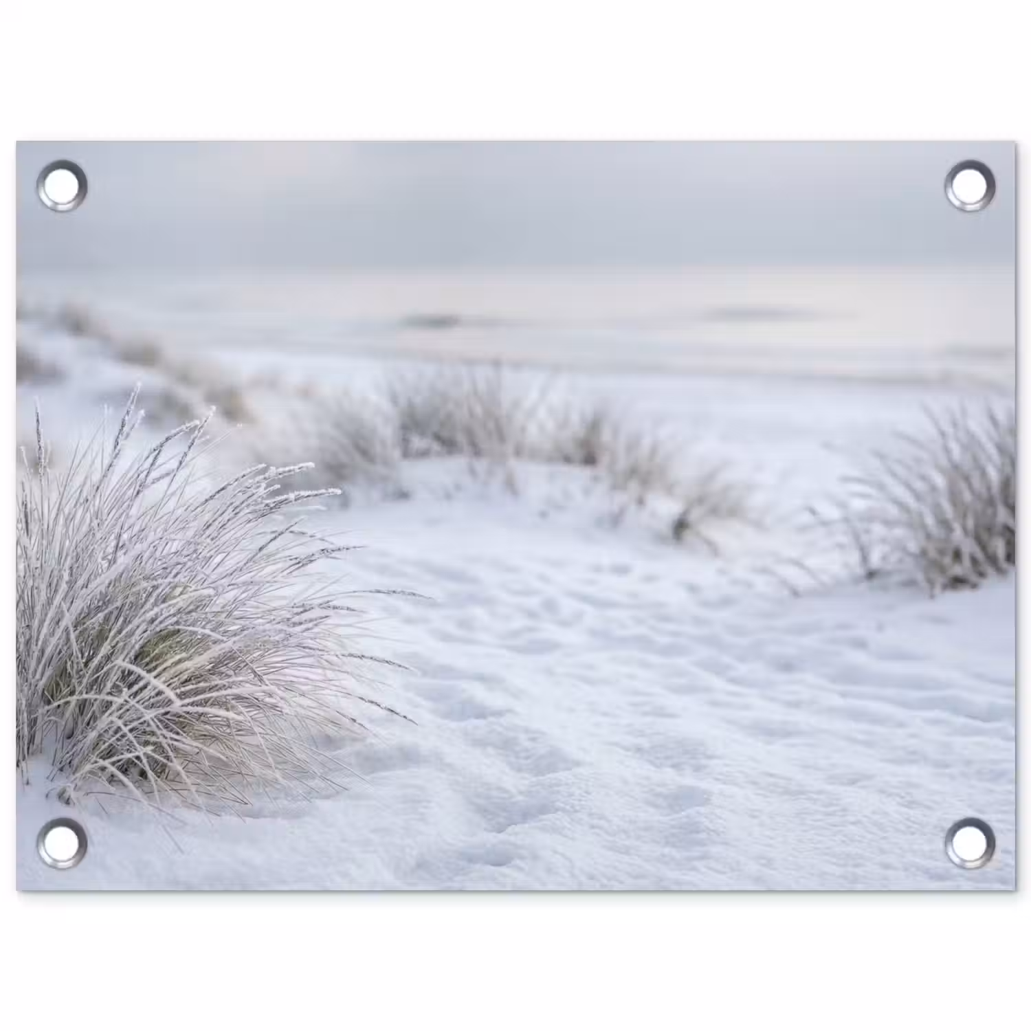 Duinen - Sneeuw - Strand - Winter - Serene tuinposter los doek klein -3d