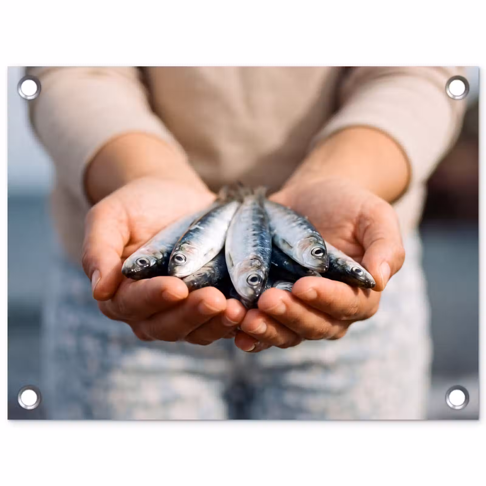 Gartenposter - Fisch – Hände – Natur - Vis - Handen - Natuur tuinposter los doek klein